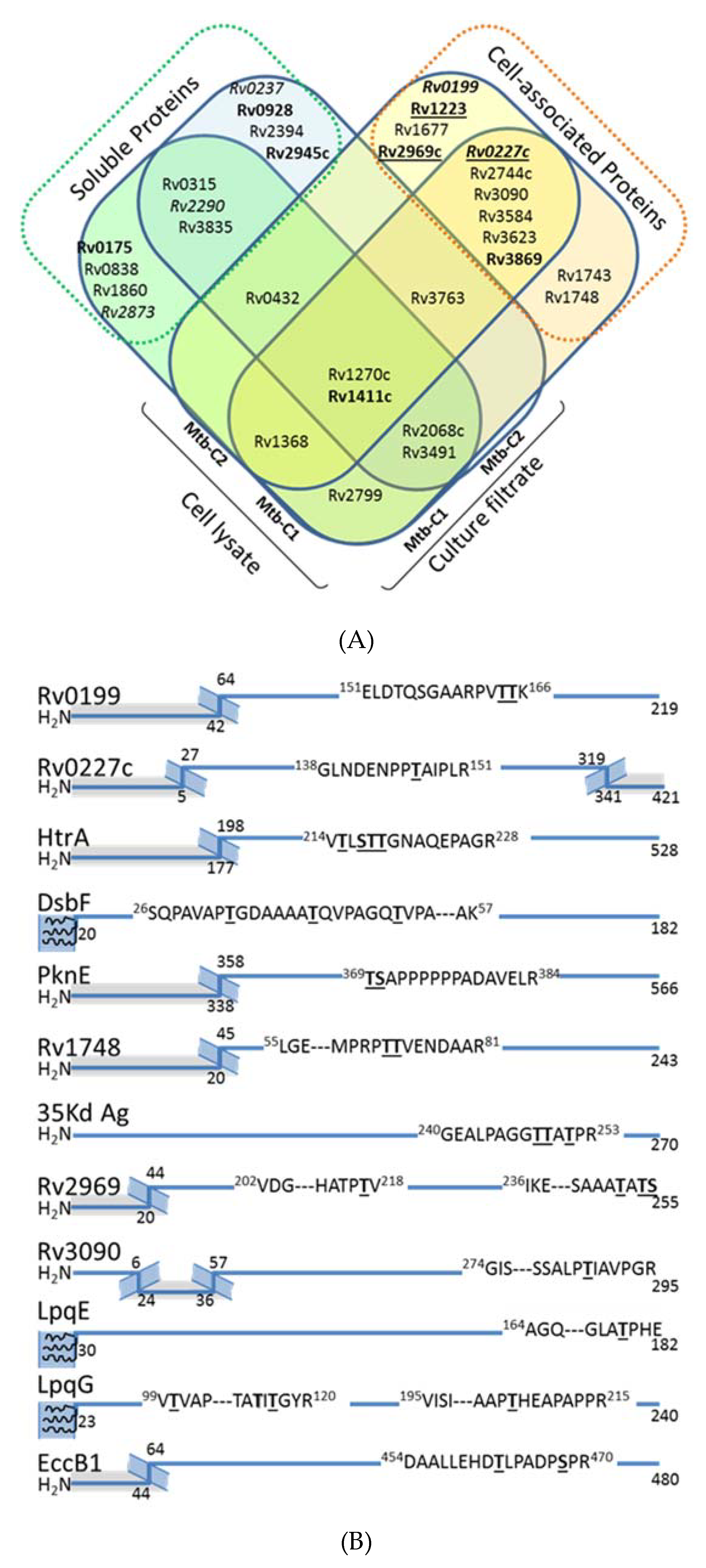 Molecules 25 02348 g003 Molecules 25 02348 g003