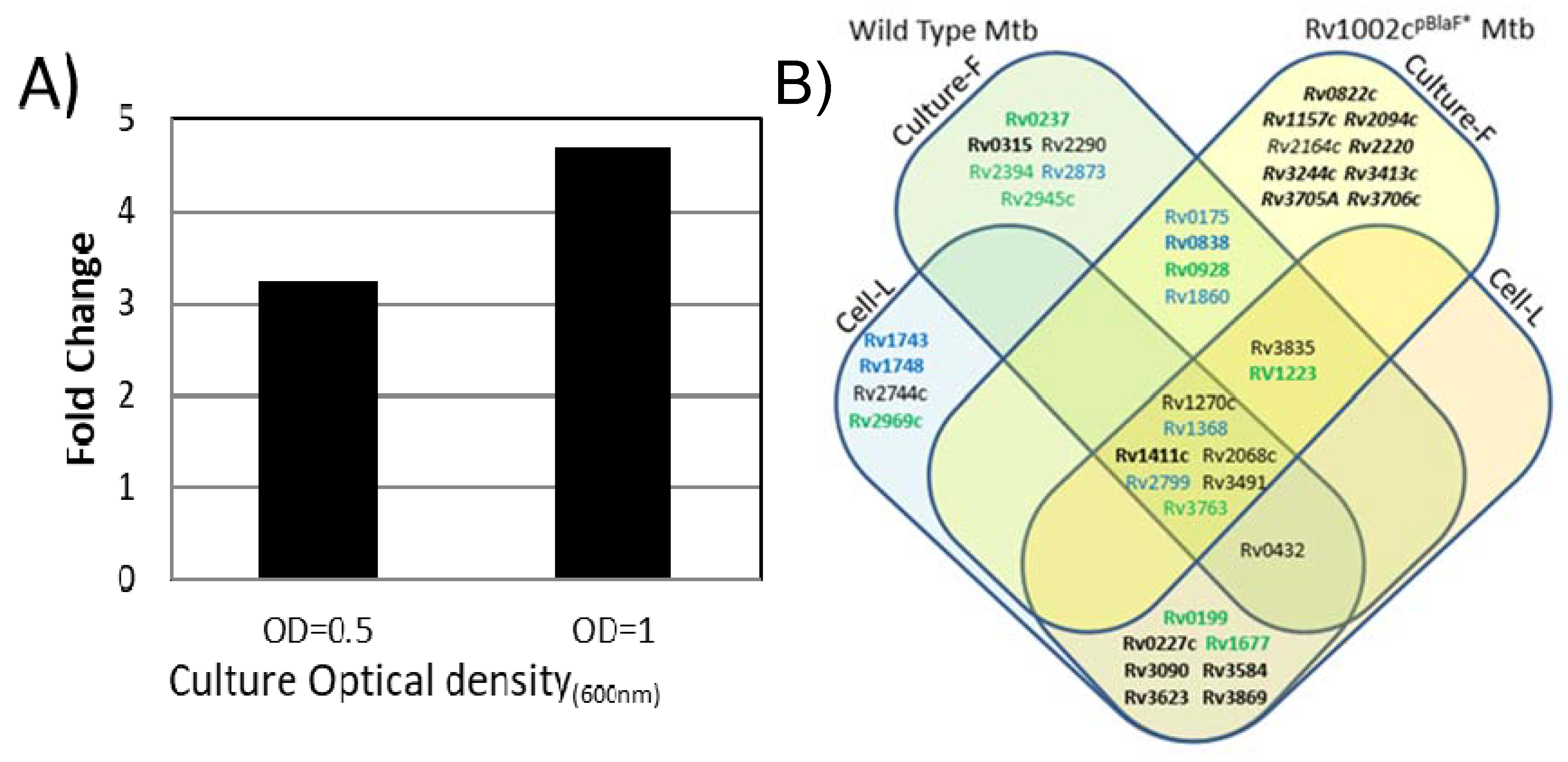 Molecules 25 02348 g004 Molecules 25 02348 g004