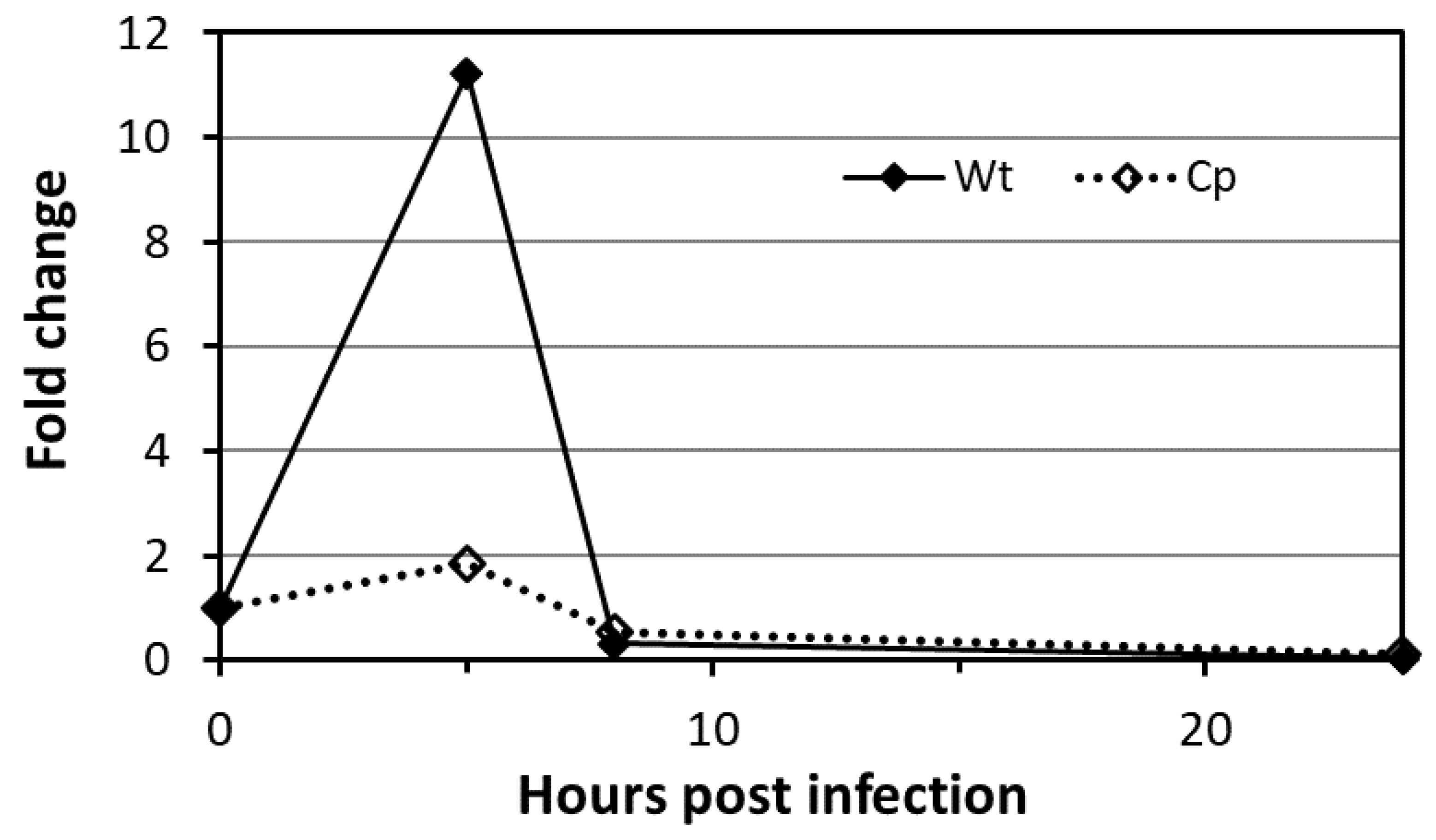 Molecules 25 02348 g005 Molecules 25 02348 g005