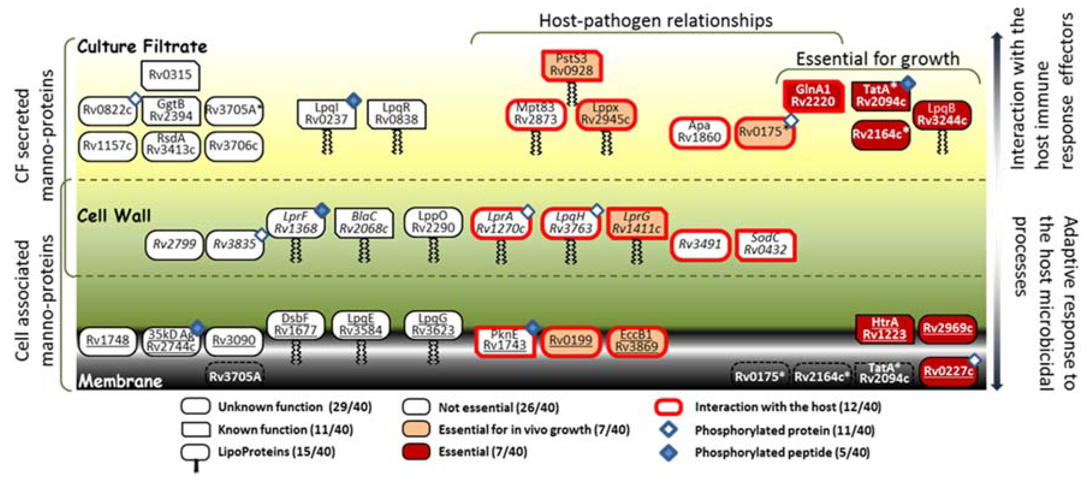 Molecules 25 02348 g006 Molecules 25 02348 g006