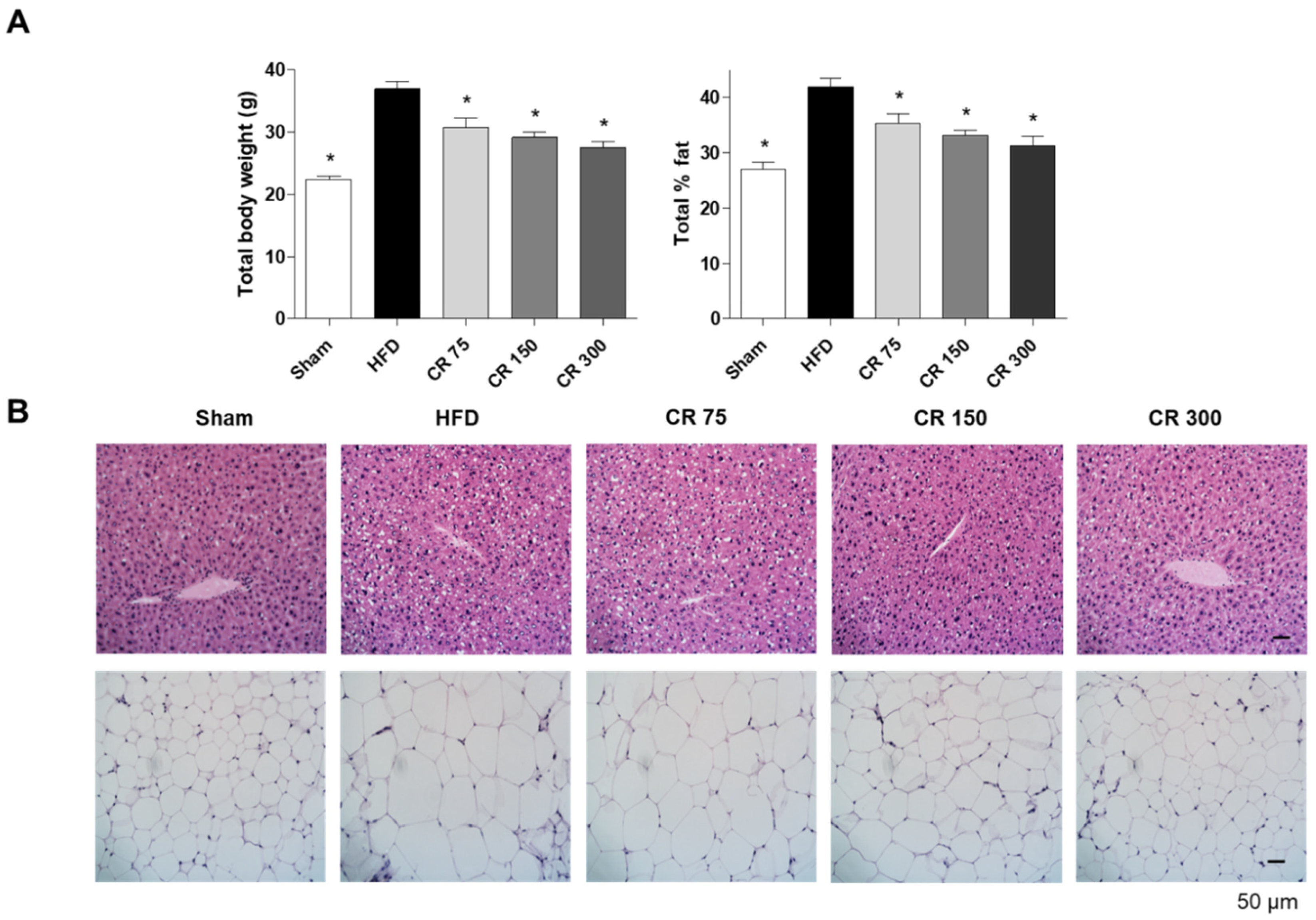 Molecules 25 02350 g003 Molecules 25 02350 g003