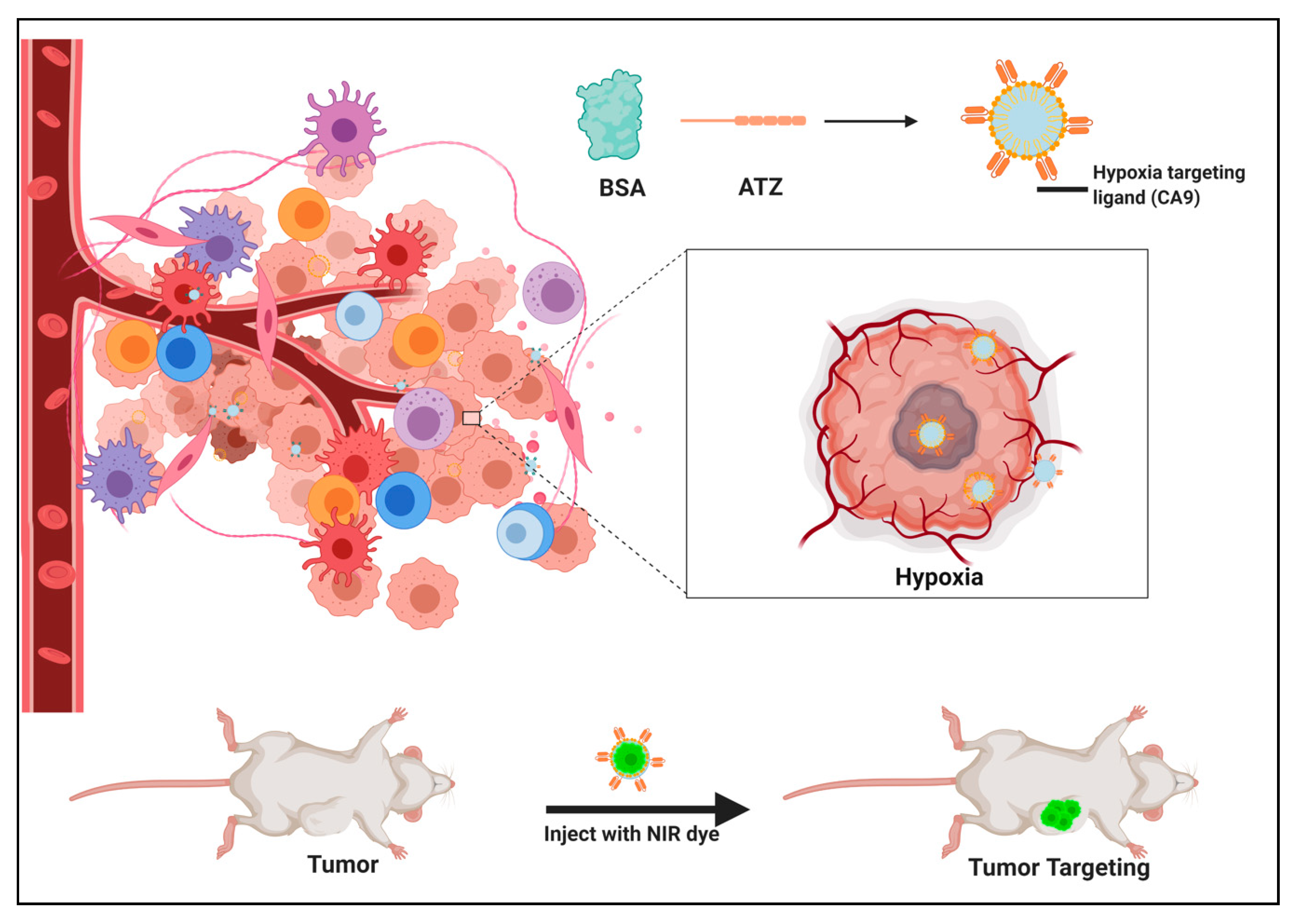Molecules 25 02362 g001 Molecules 25 02362 g001