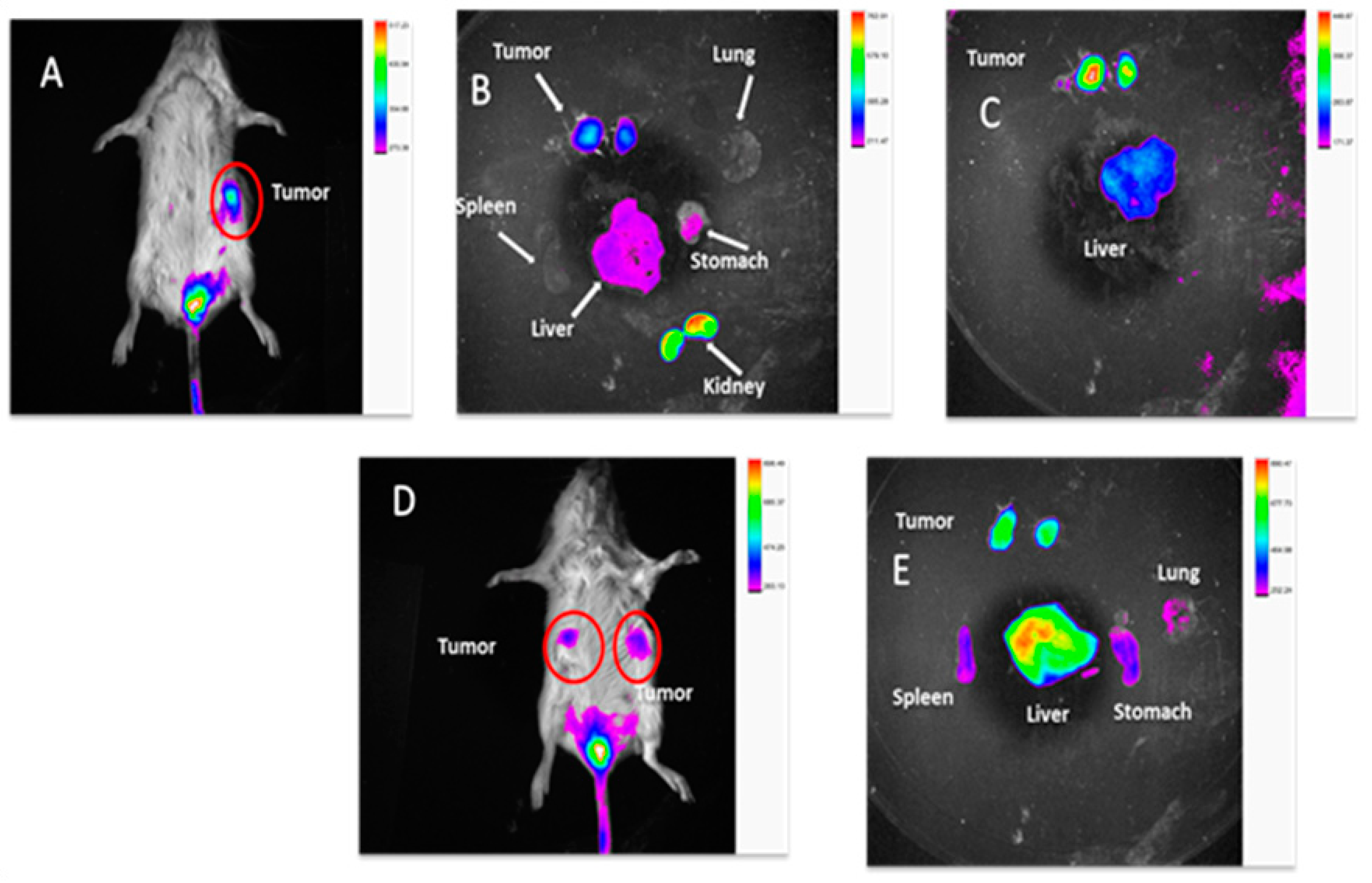 Molecules 25 02362 g010 Molecules 25 02362 g010