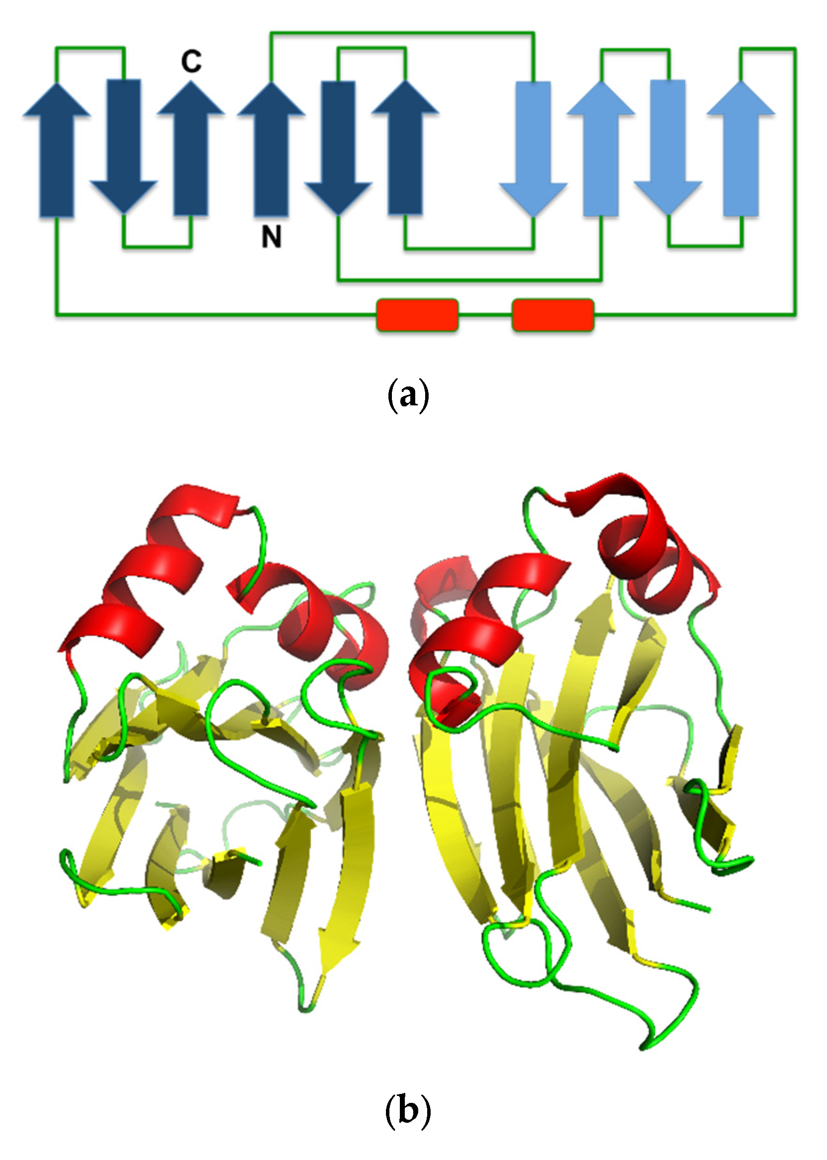 Molecules 25 02368 g004 Molecules 25 02368 g004