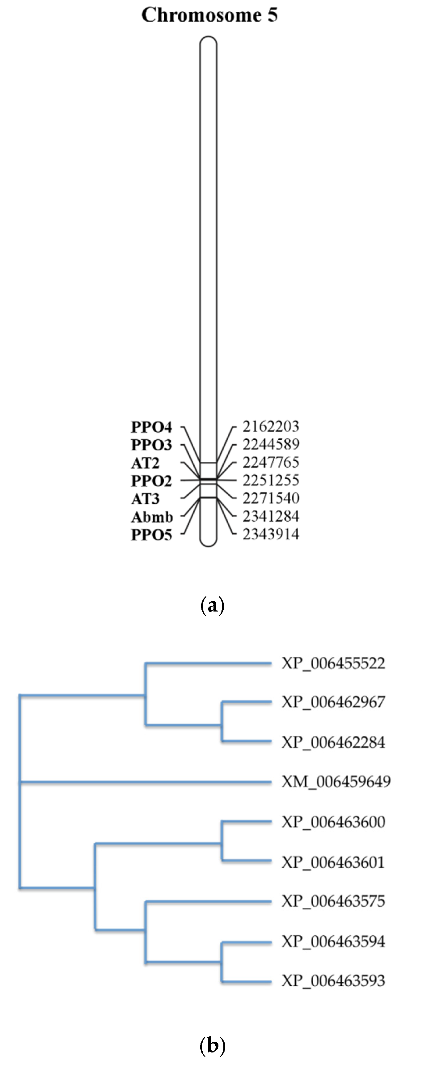 Molecules 25 02368 g005 Molecules 25 02368 g005