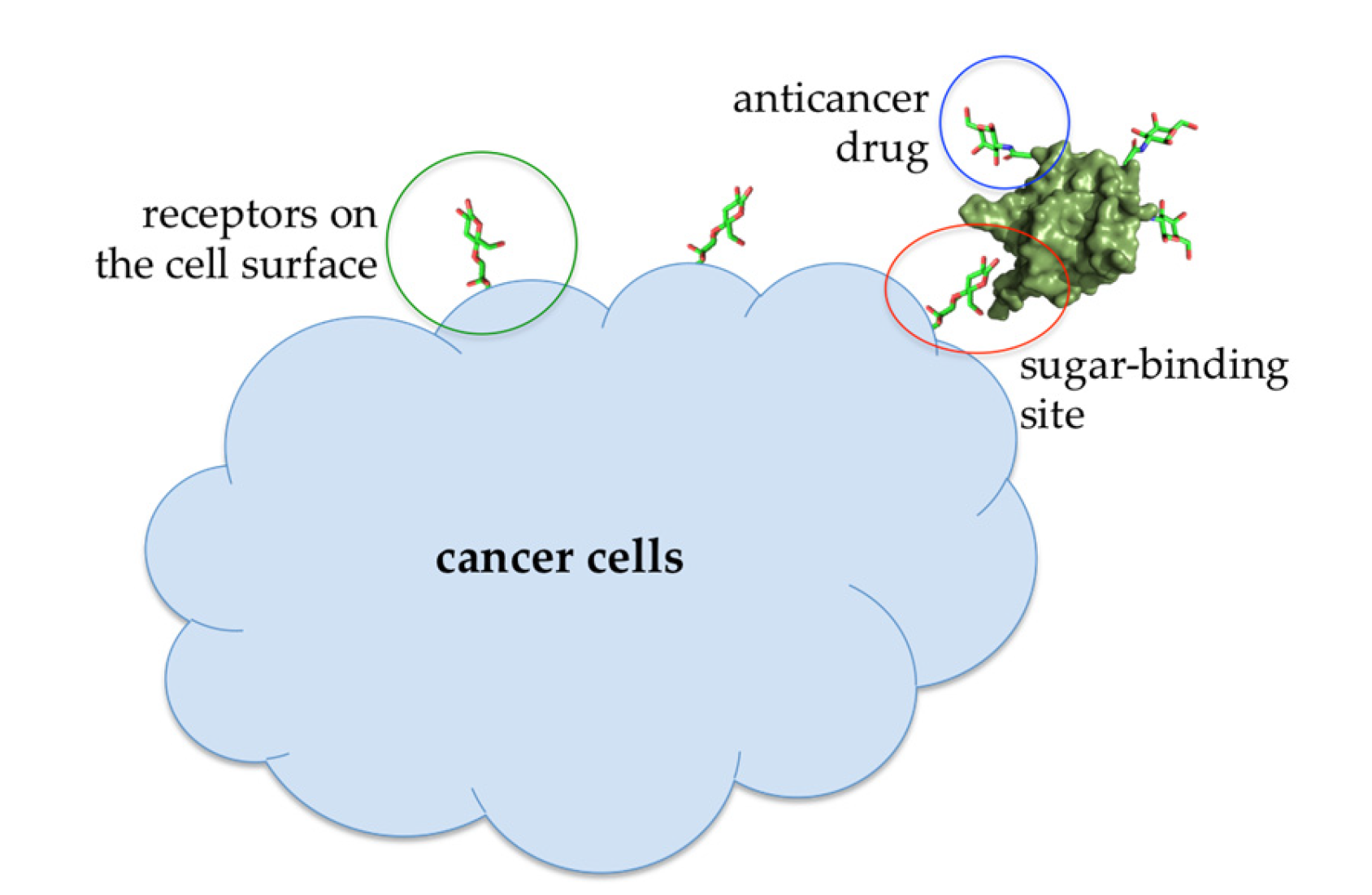 Molecules 25 02368 g007 Molecules 25 02368 g007