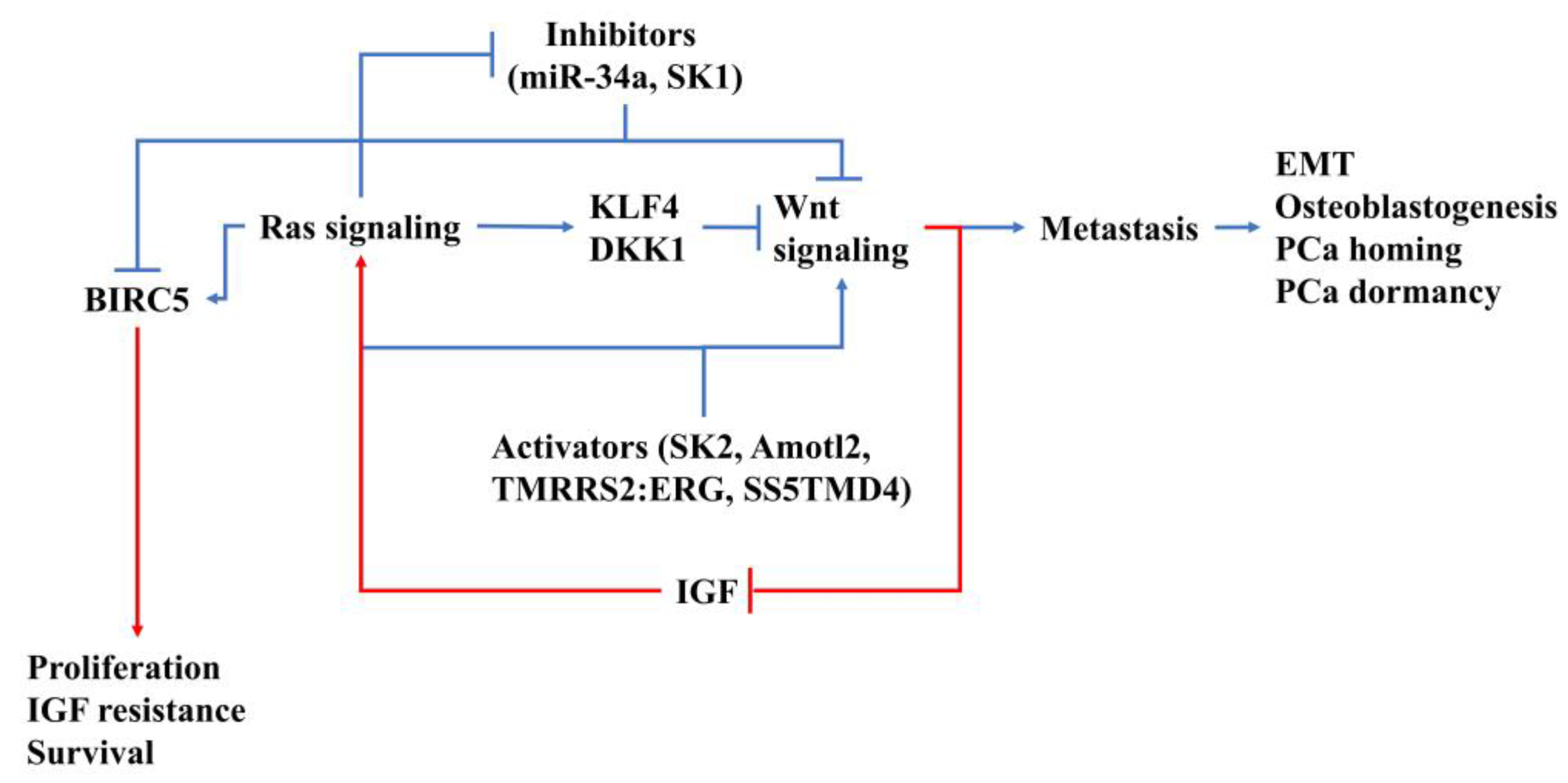 Molecules 25 02380 g002