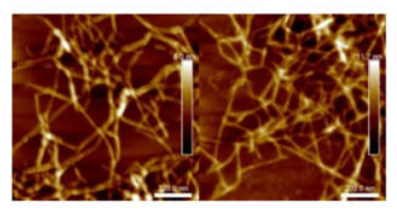 Molecules 25 02381 g001