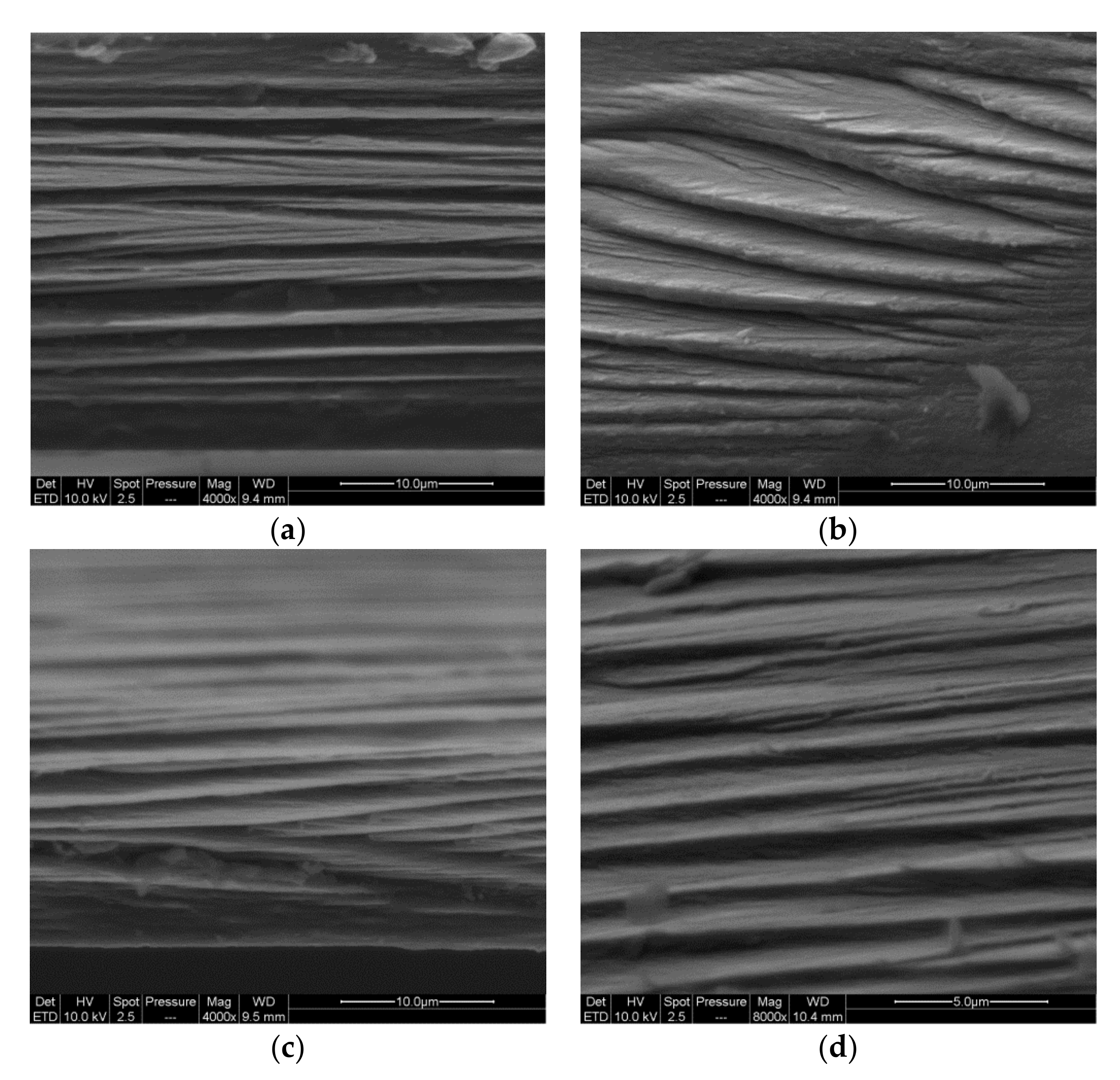 Molecules 25 02381 g003