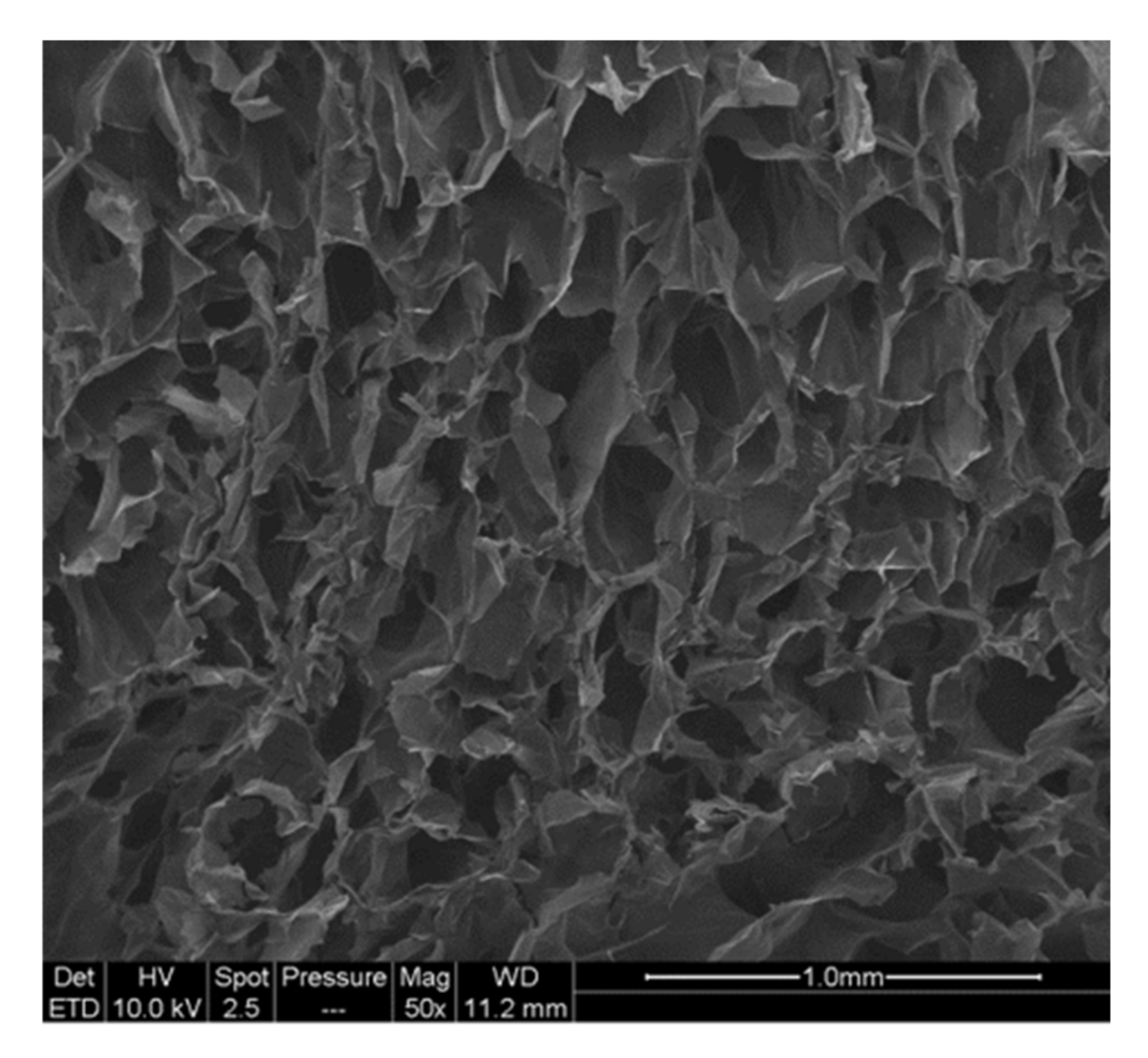 Molecules 25 02381 g005