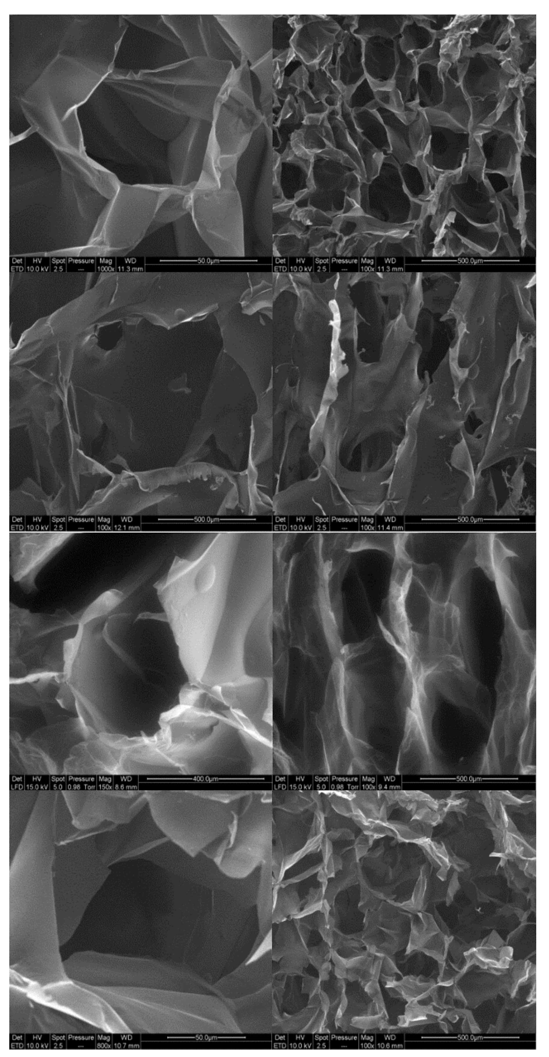 Molecules 25 02381 g007