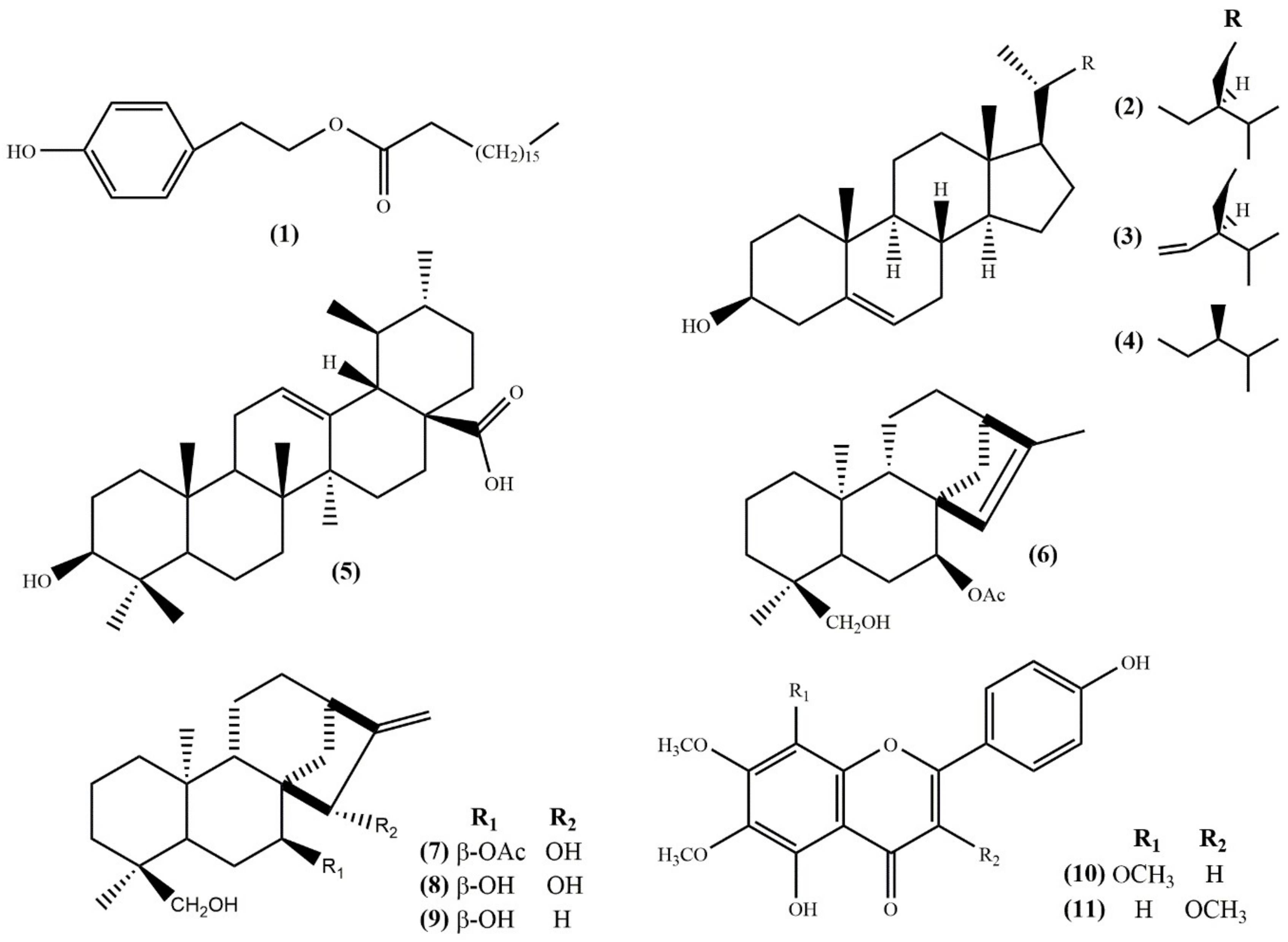 Molecules 25 02382 g002