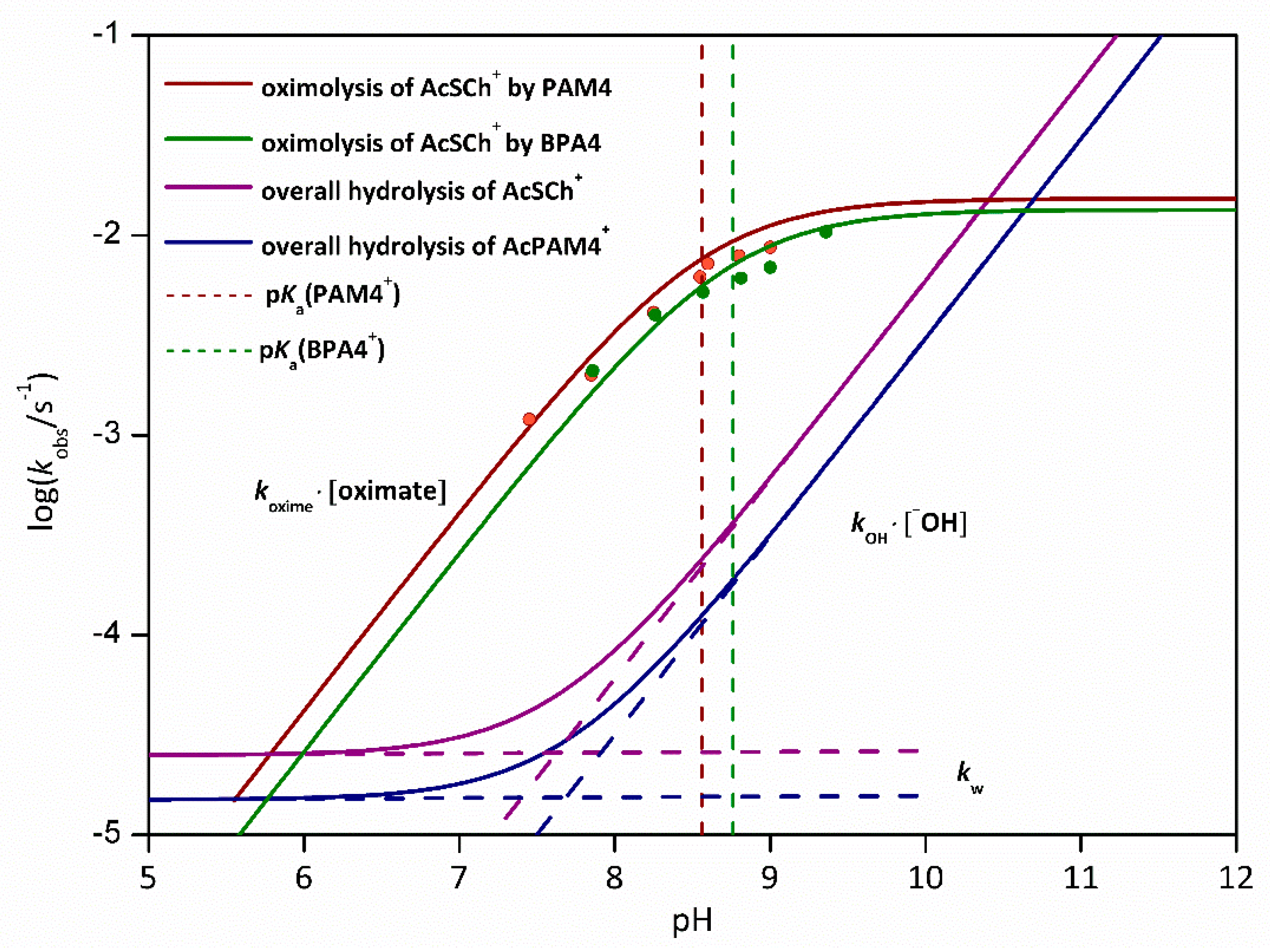 Molecules 25 02385 g002 Molecules 25 02385 g002