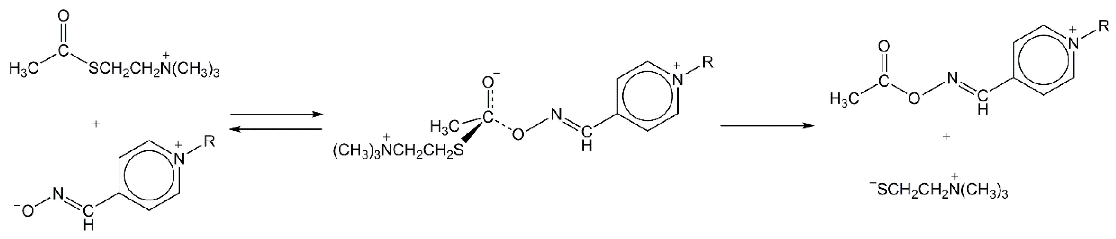 Molecules 25 02385 sch002 Molecules 25 02385 sch002