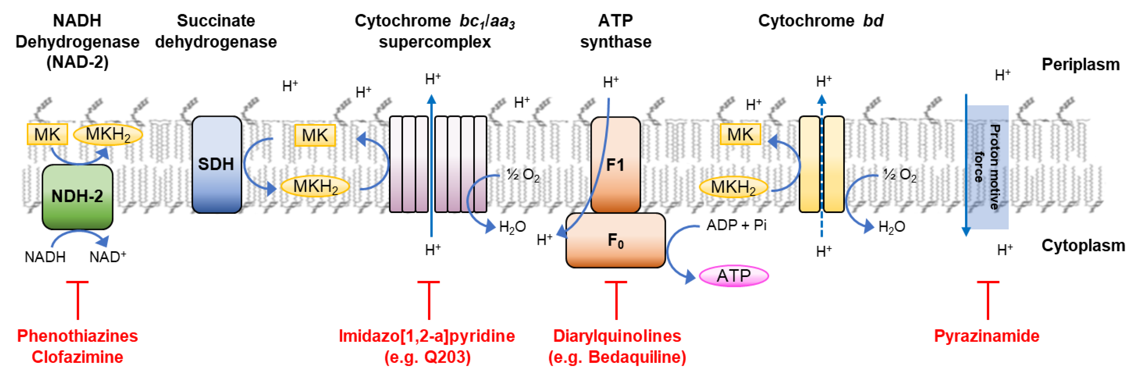 Molecules 25 02387 g001