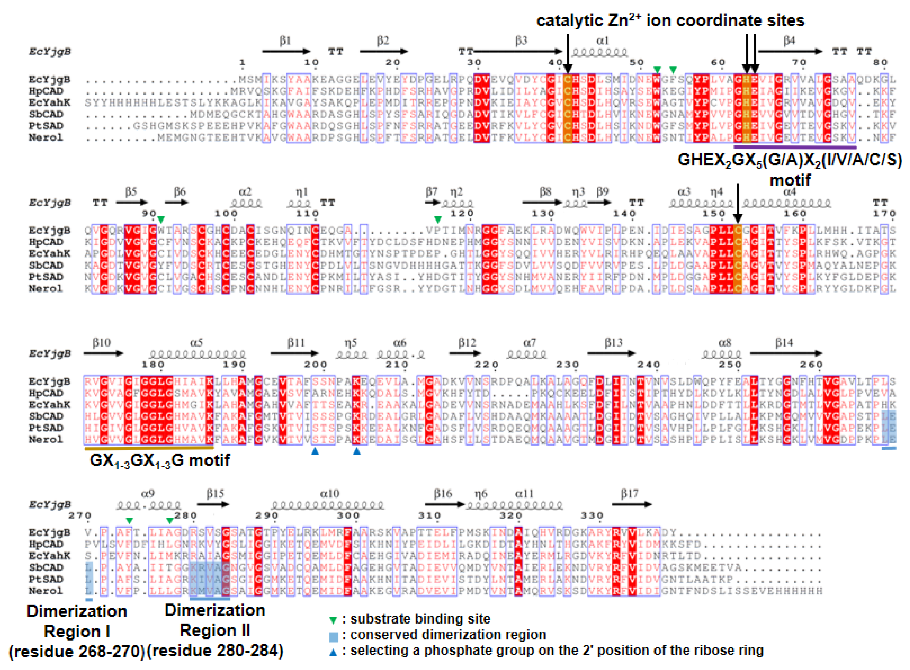 Molecules 25 02404 g001 Molecules 25 02404 g001