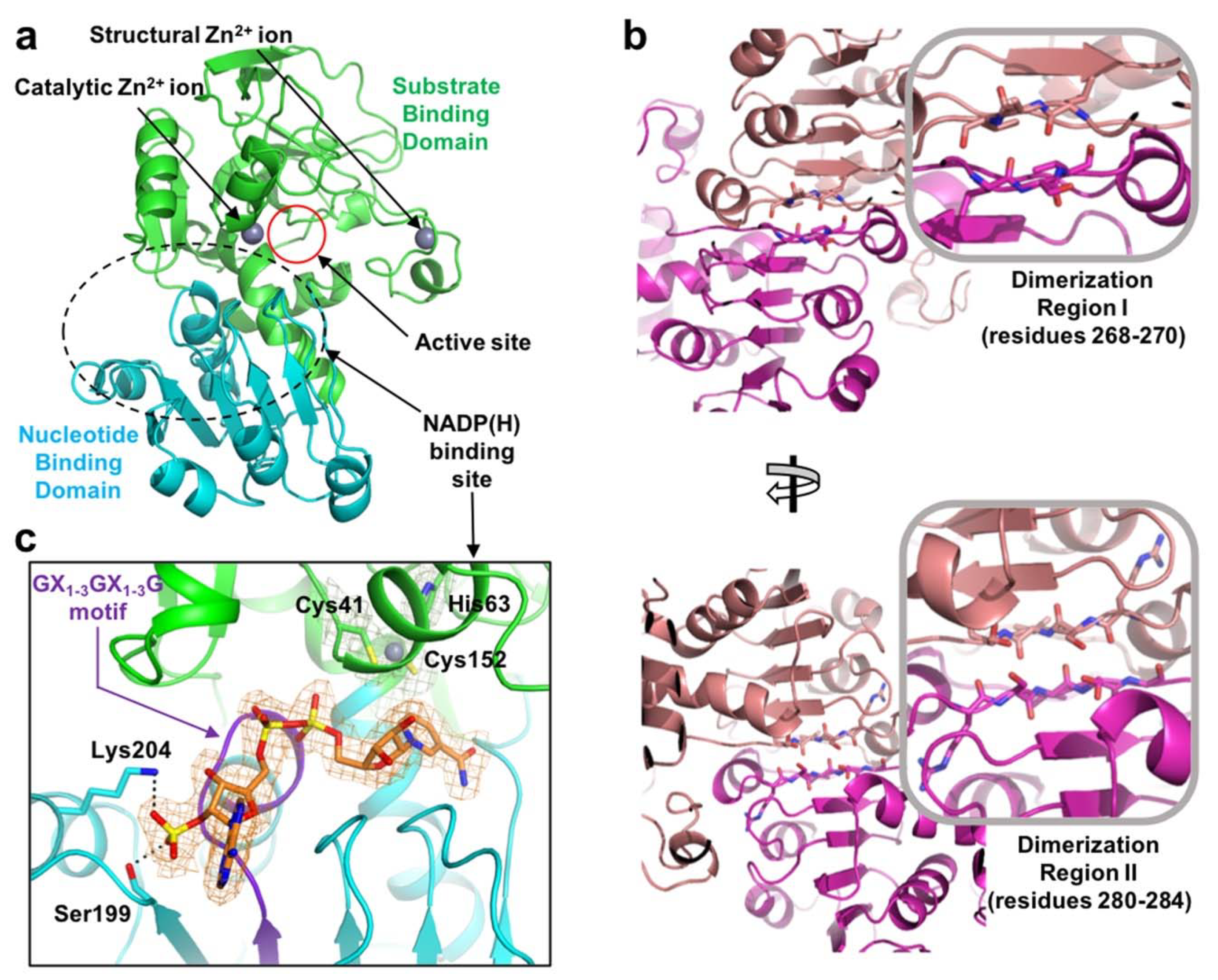 Molecules 25 02404 g002 Molecules 25 02404 g002