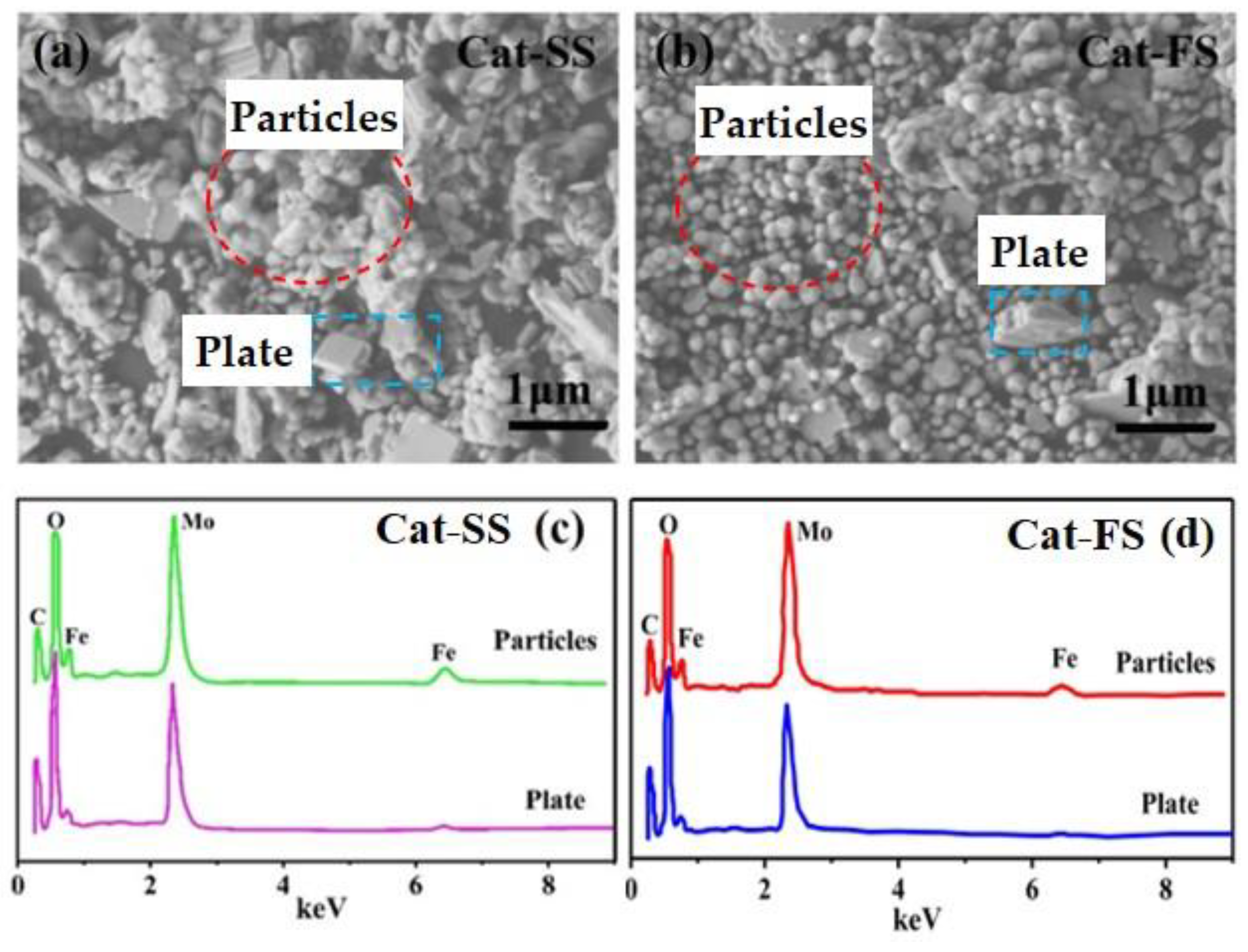 Molecules 25 02410 g002