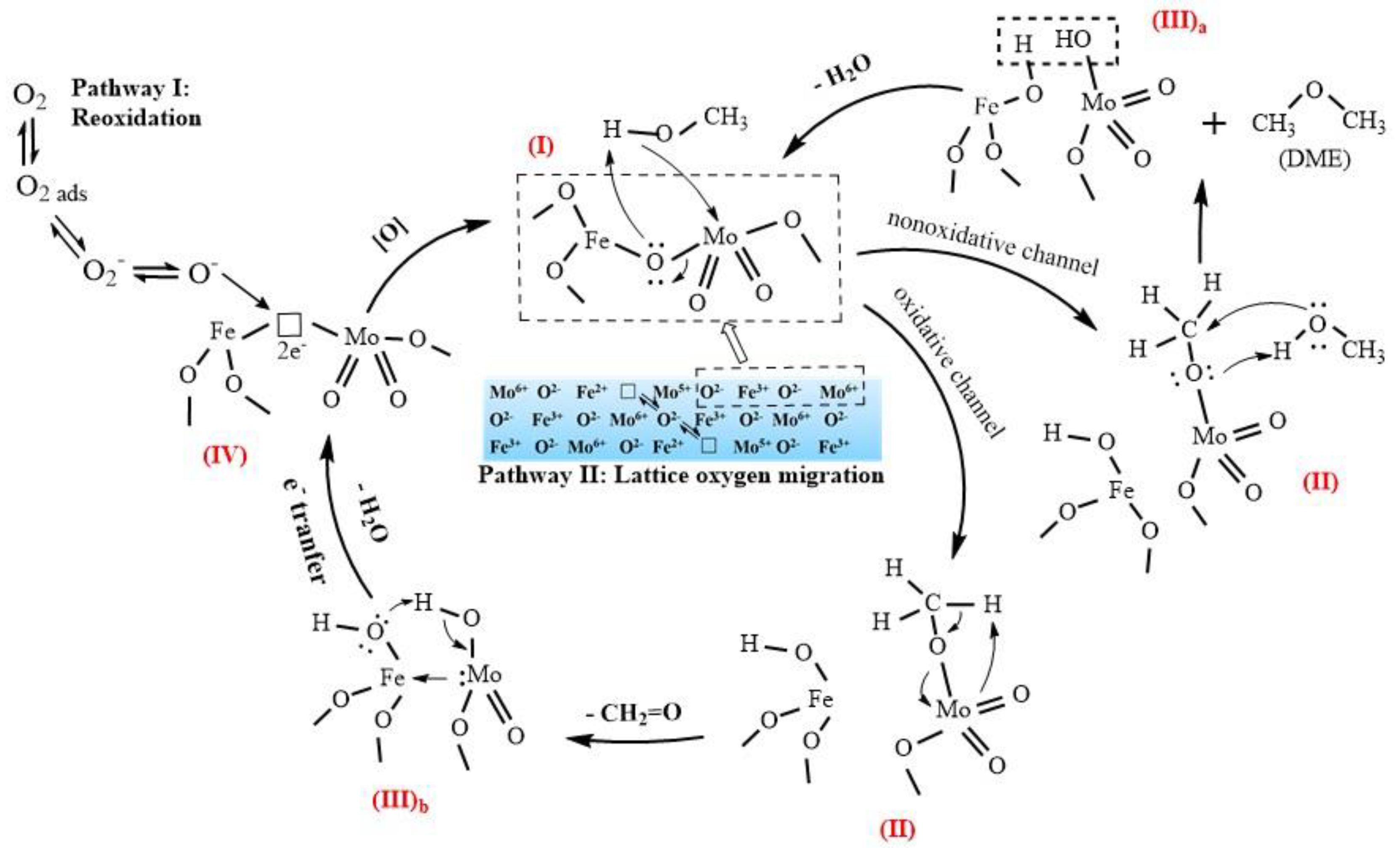 Molecules 25 02410 g009