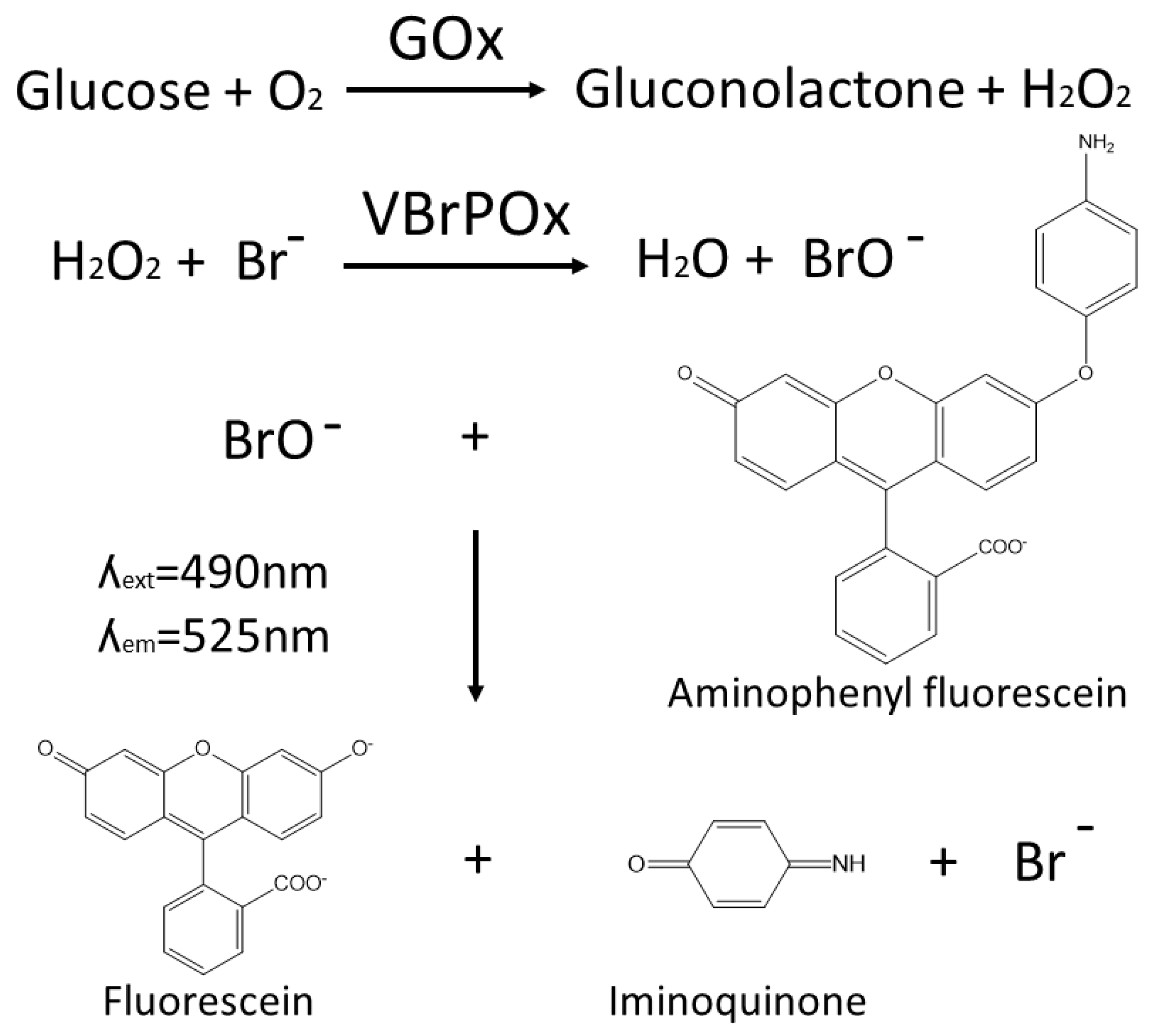 Molecules 25 02418 g001 Molecules 25 02418 g001