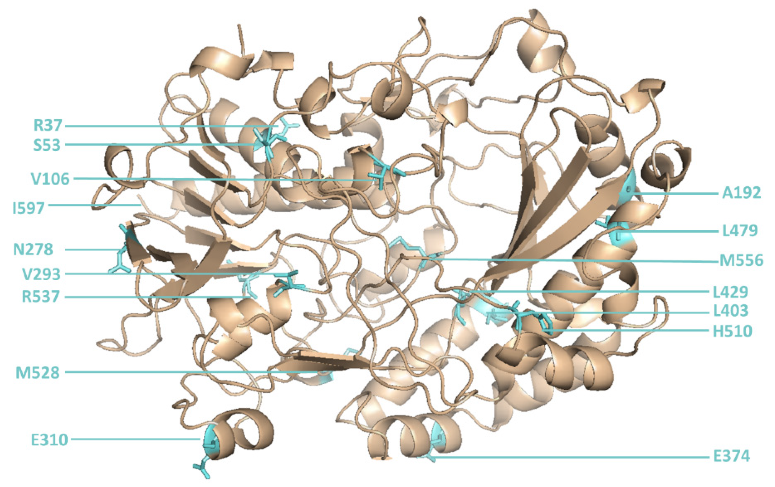 Molecules 25 02418 g002 Molecules 25 02418 g002