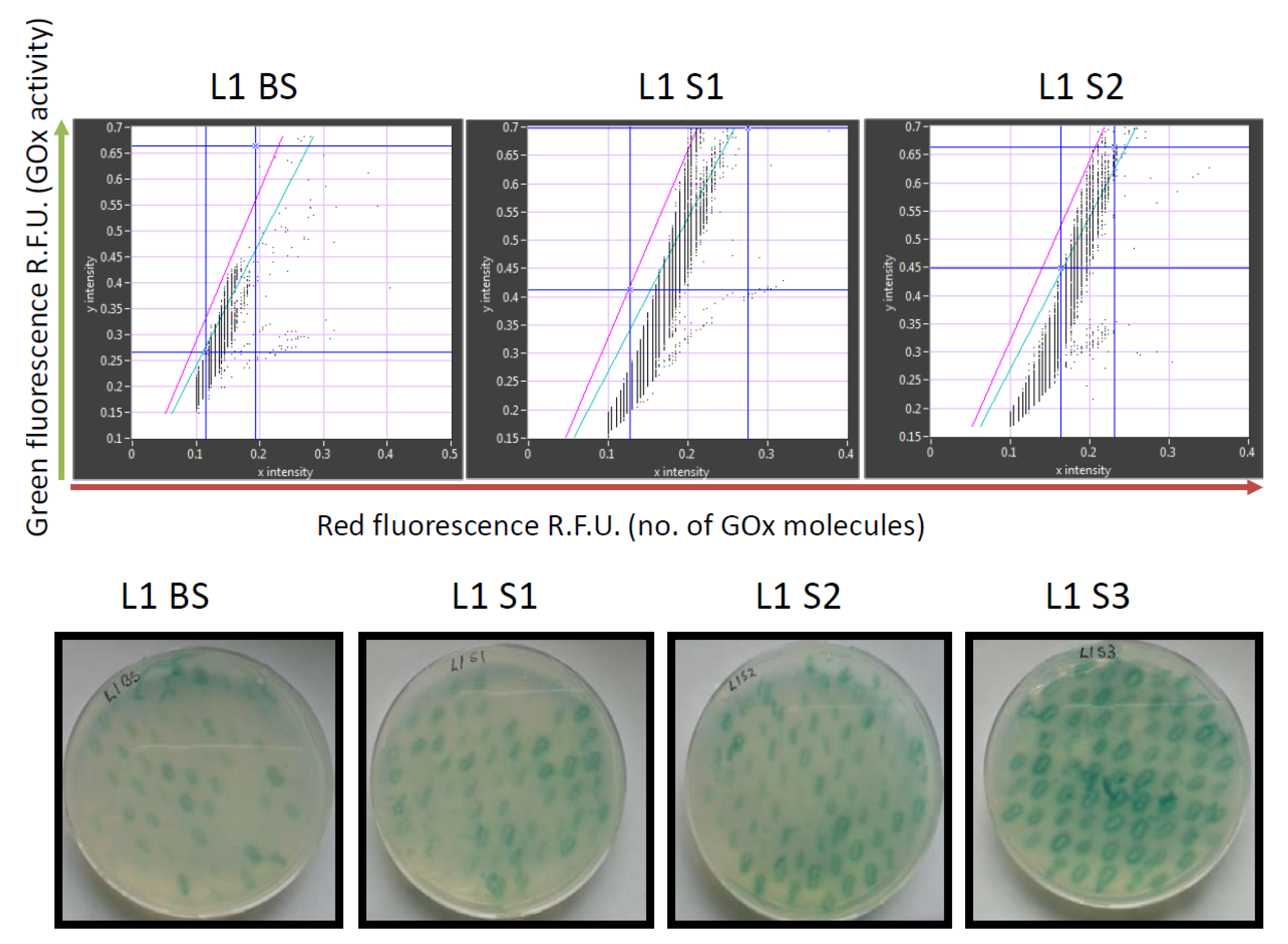 Molecules 25 02418 g003 Molecules 25 02418 g003