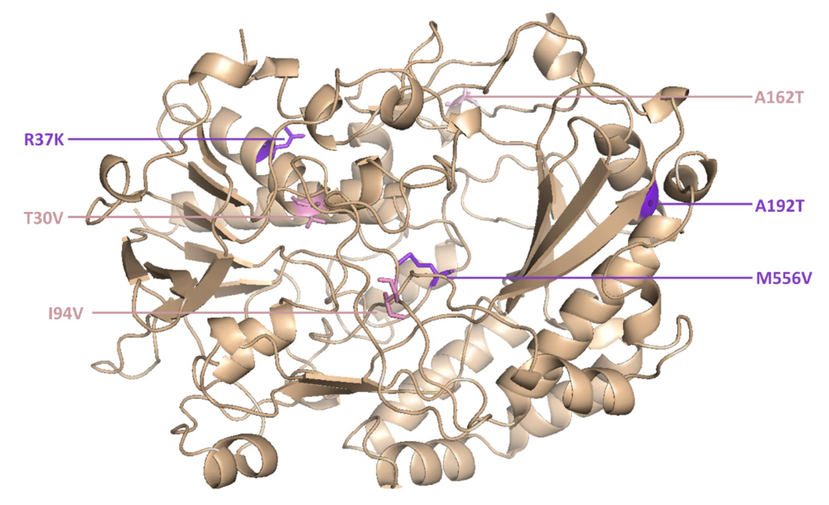 Molecules 25 02418 g005 Molecules 25 02418 g005