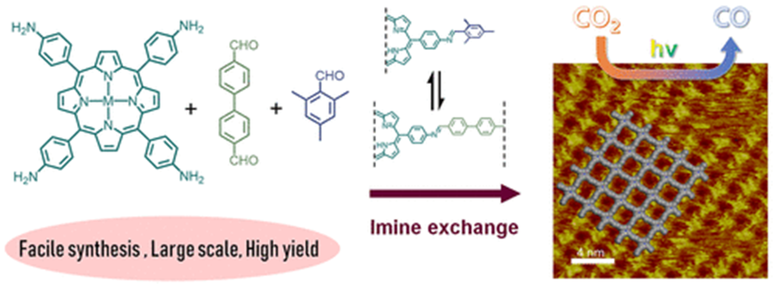 Molecules 25 02425 g002 Molecules 25 02425 g002