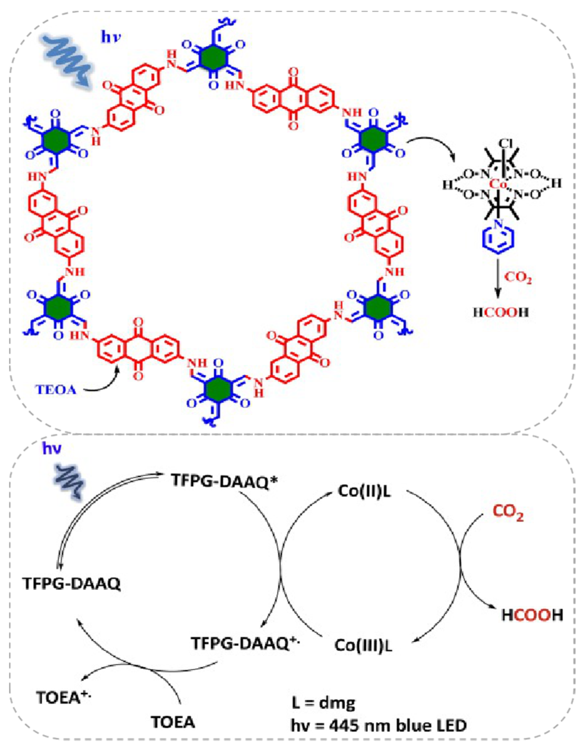 Molecules 25 02425 g007 Molecules 25 02425 g007