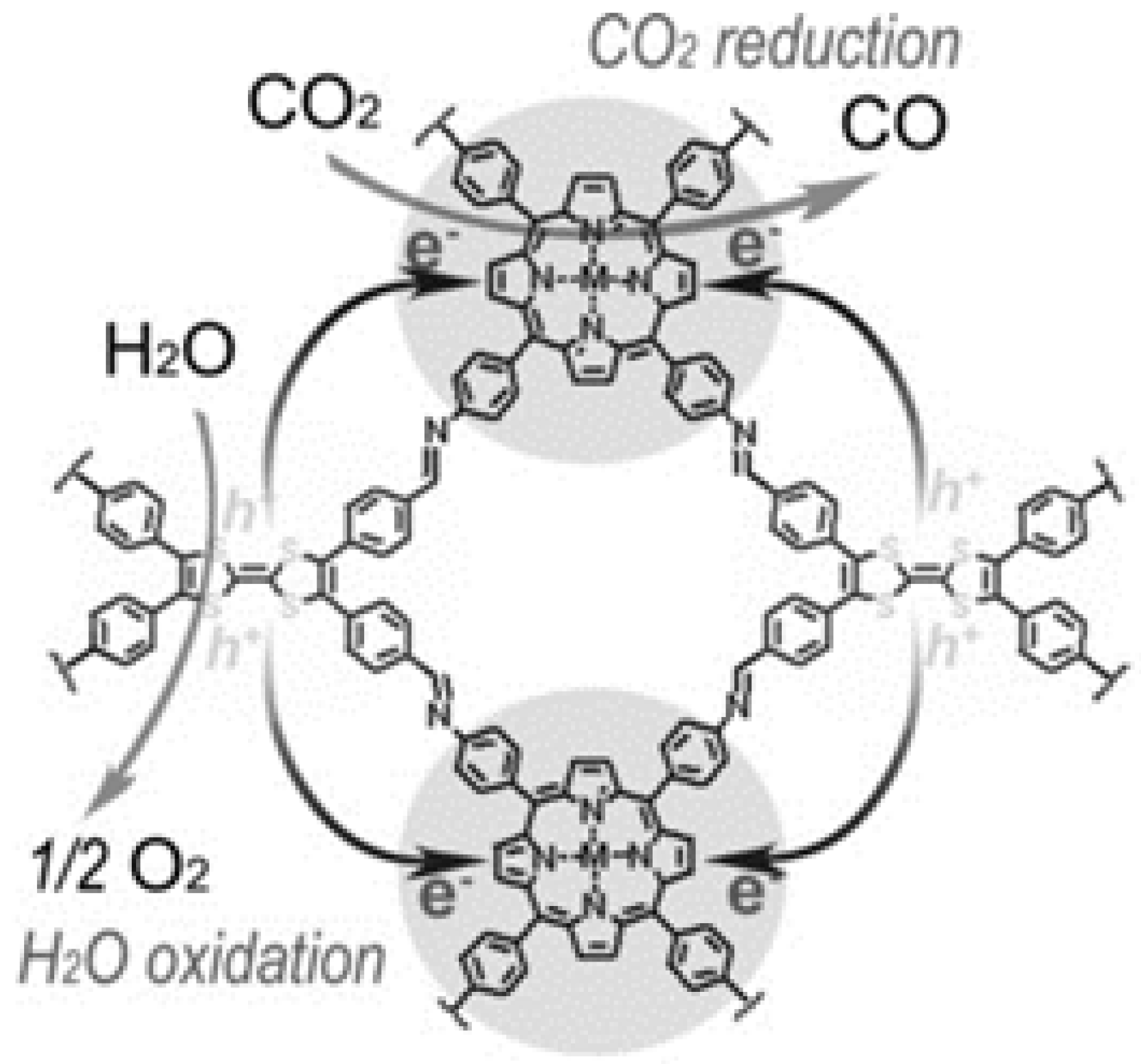 Molecules 25 02425 g008 Molecules 25 02425 g008