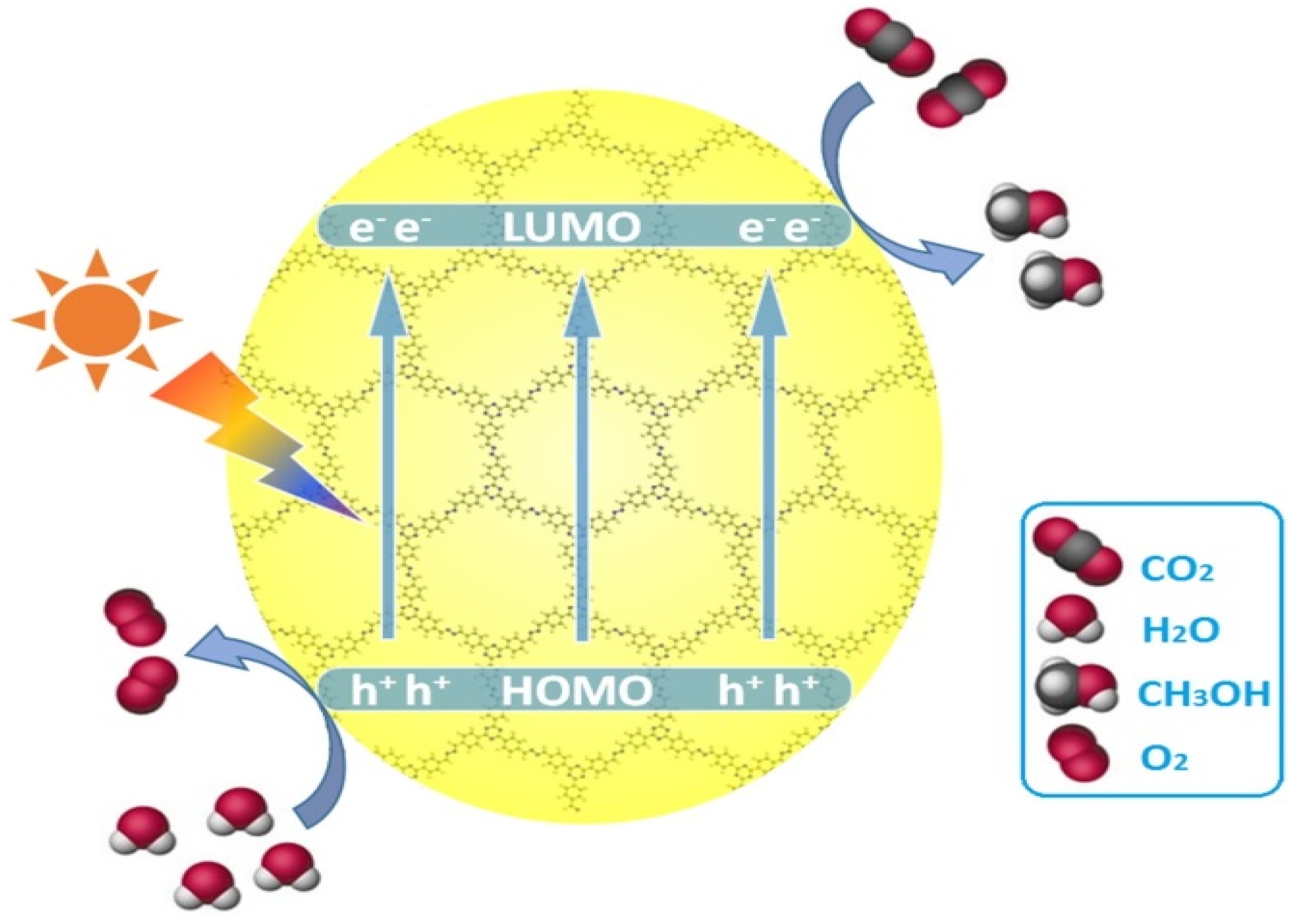 Molecules 25 02425 g009 Molecules 25 02425 g009
