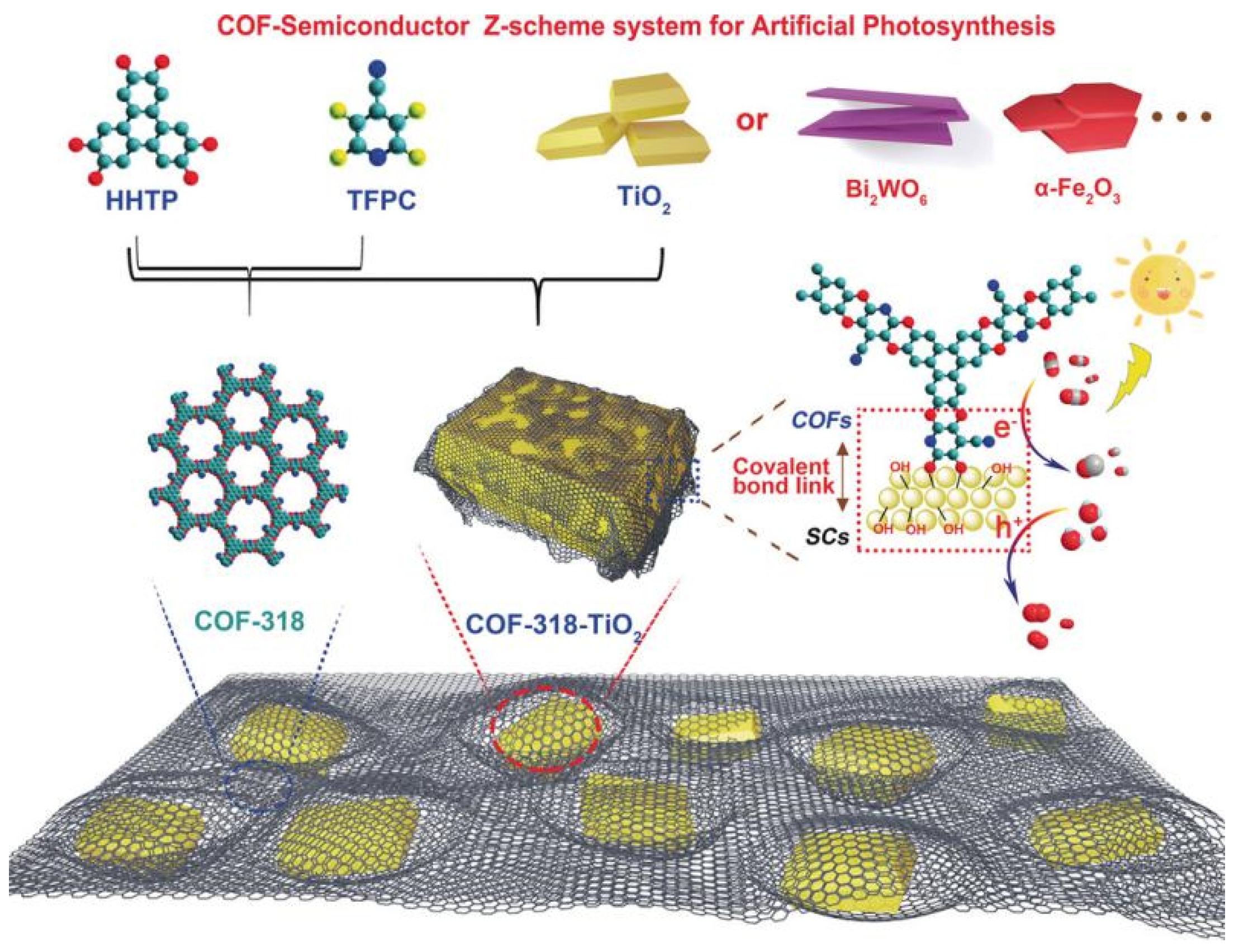 Molecules 25 02425 g011 Molecules 25 02425 g011