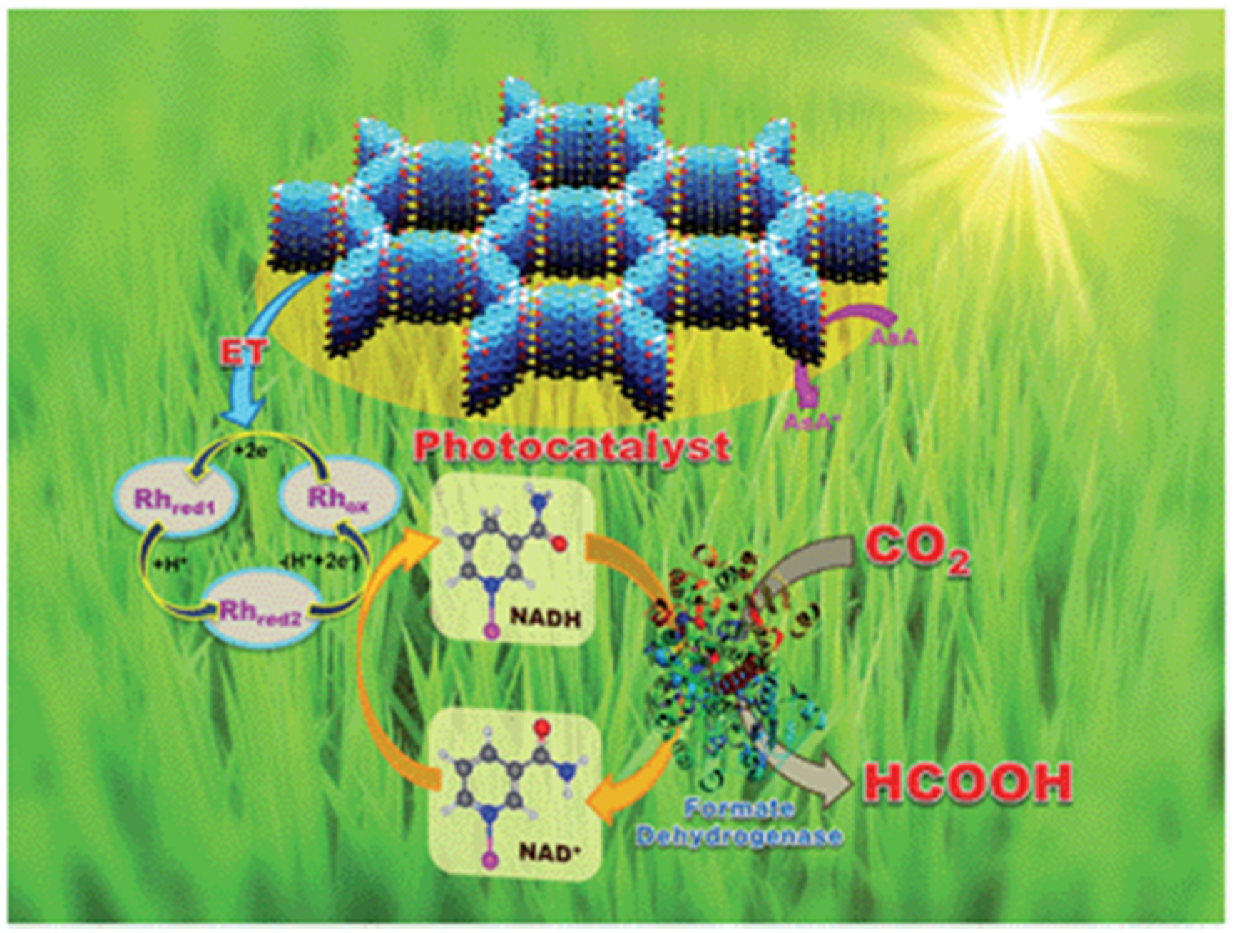 Molecules 25 02425 g012 Molecules 25 02425 g012