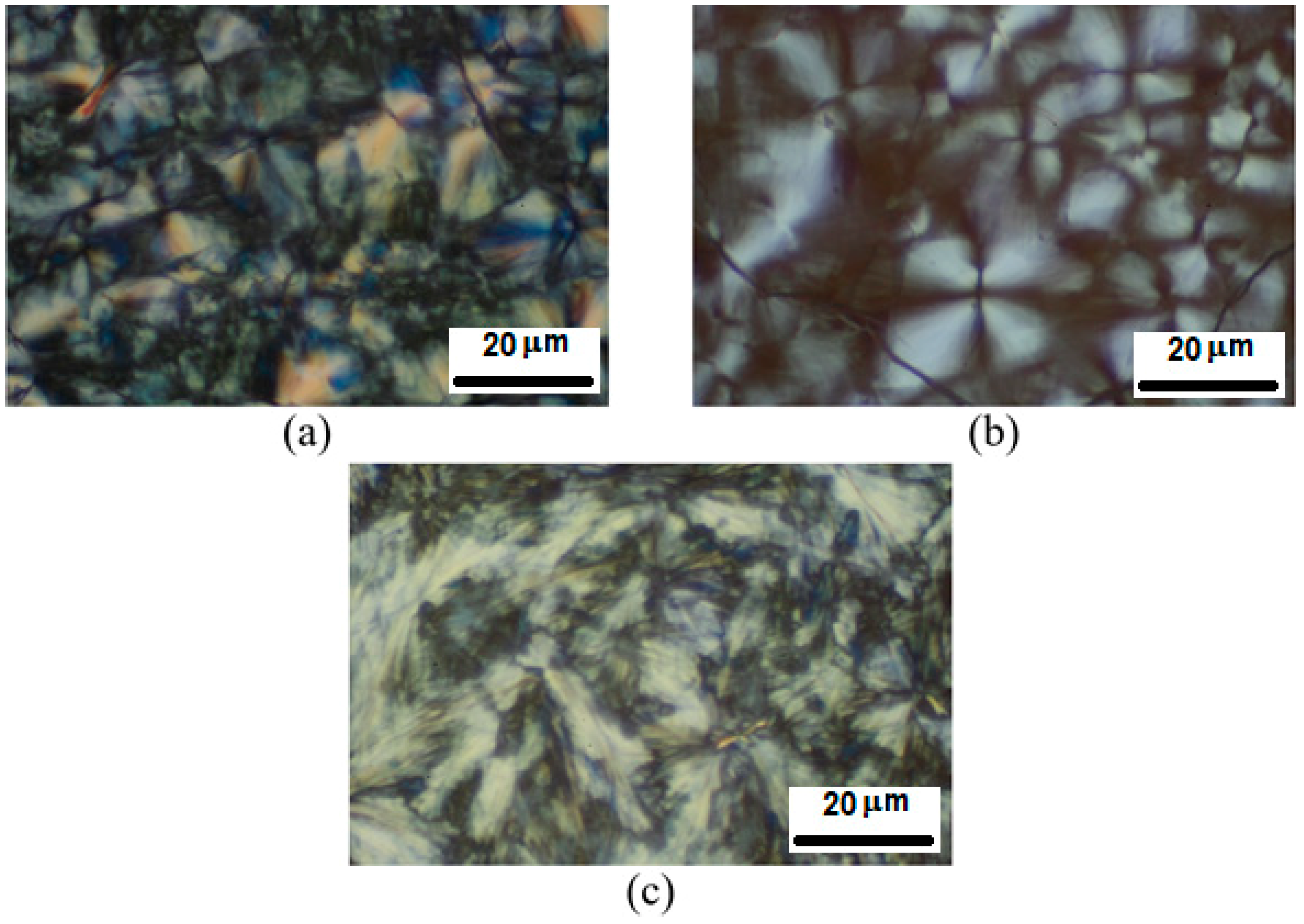 Molecules 25 02435 g010 Molecules 25 02435 g010