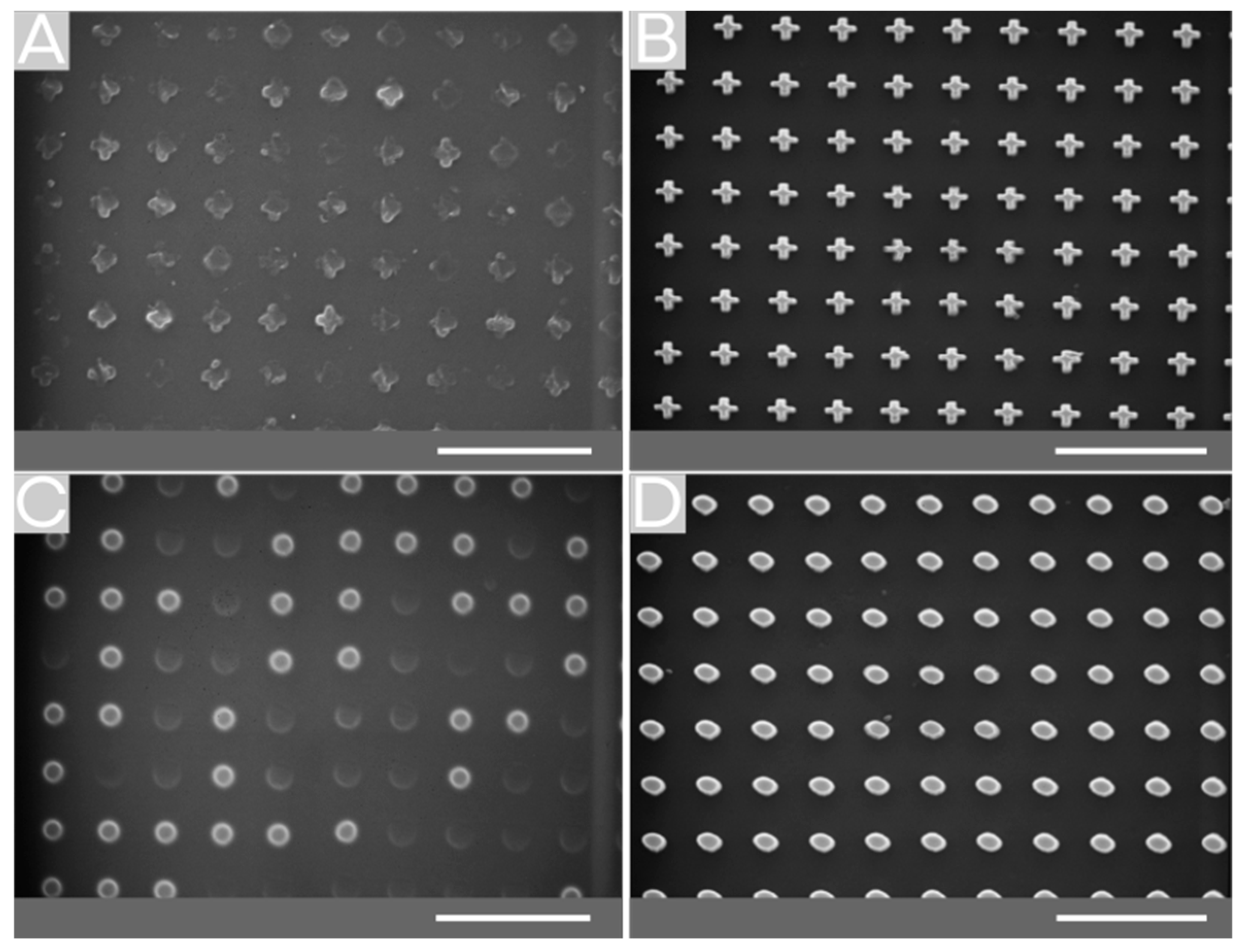 Molecules 25 02438 g004