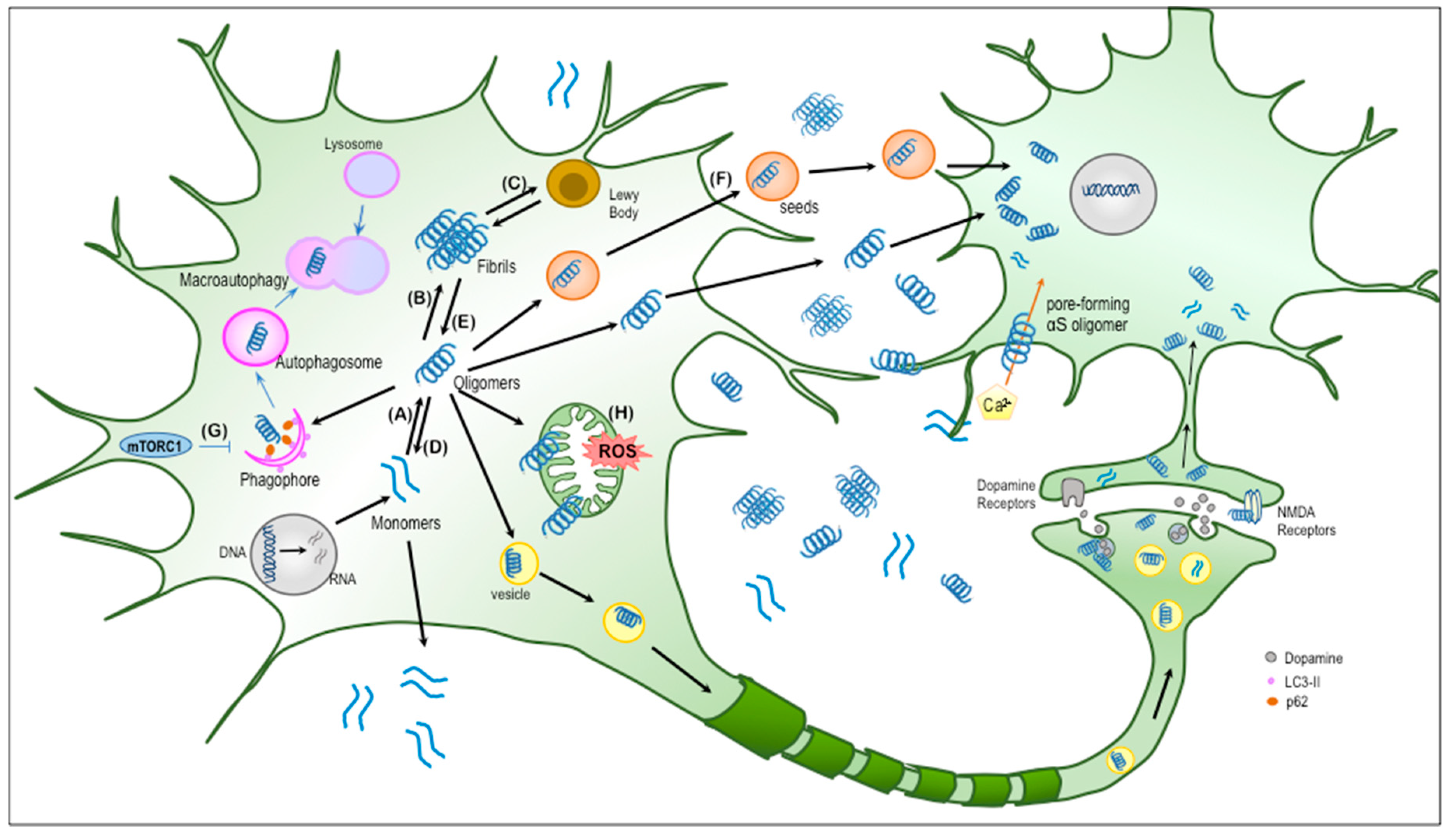 Molecules 25 02444 g001