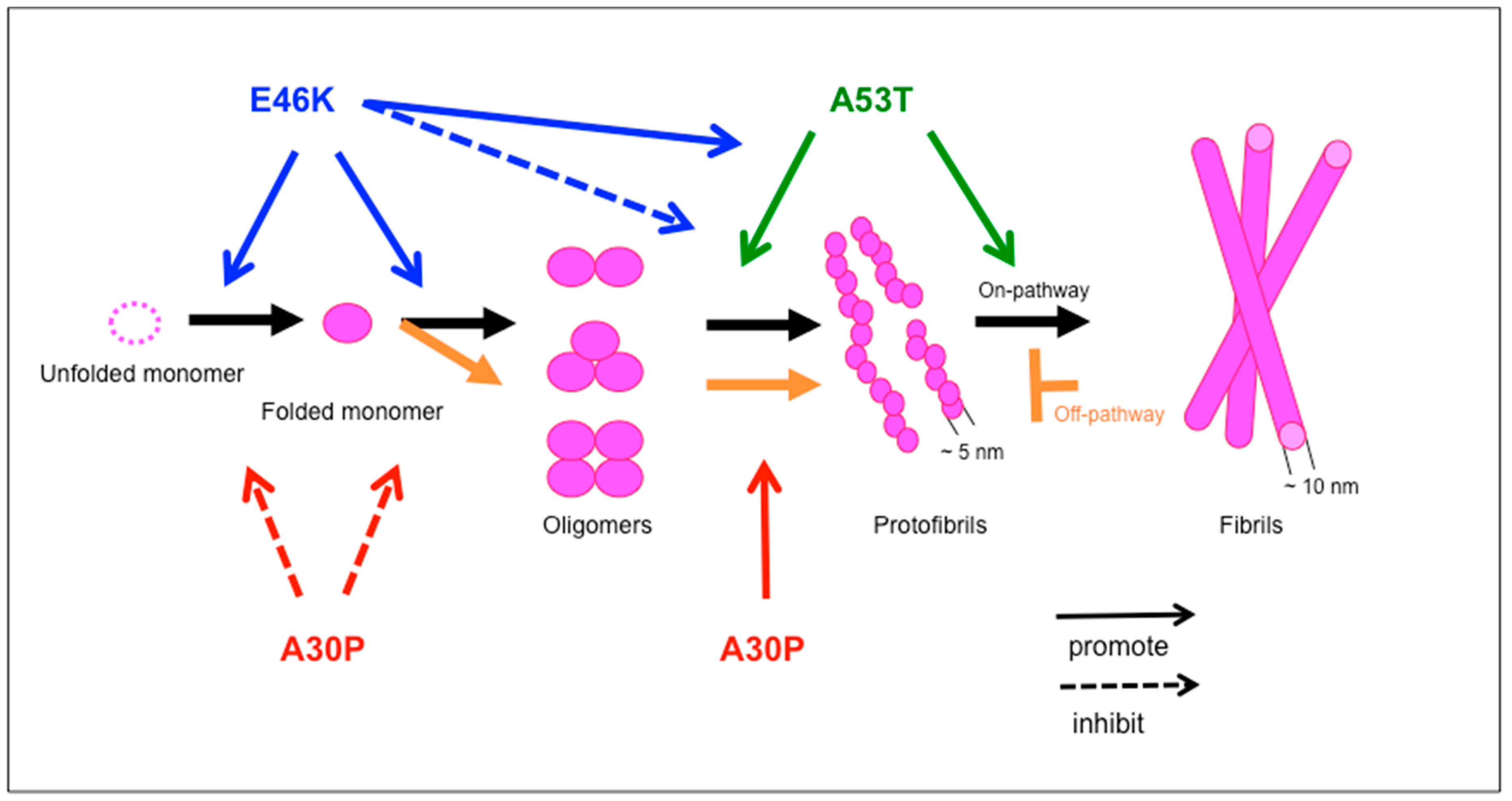 Molecules 25 02444 g002