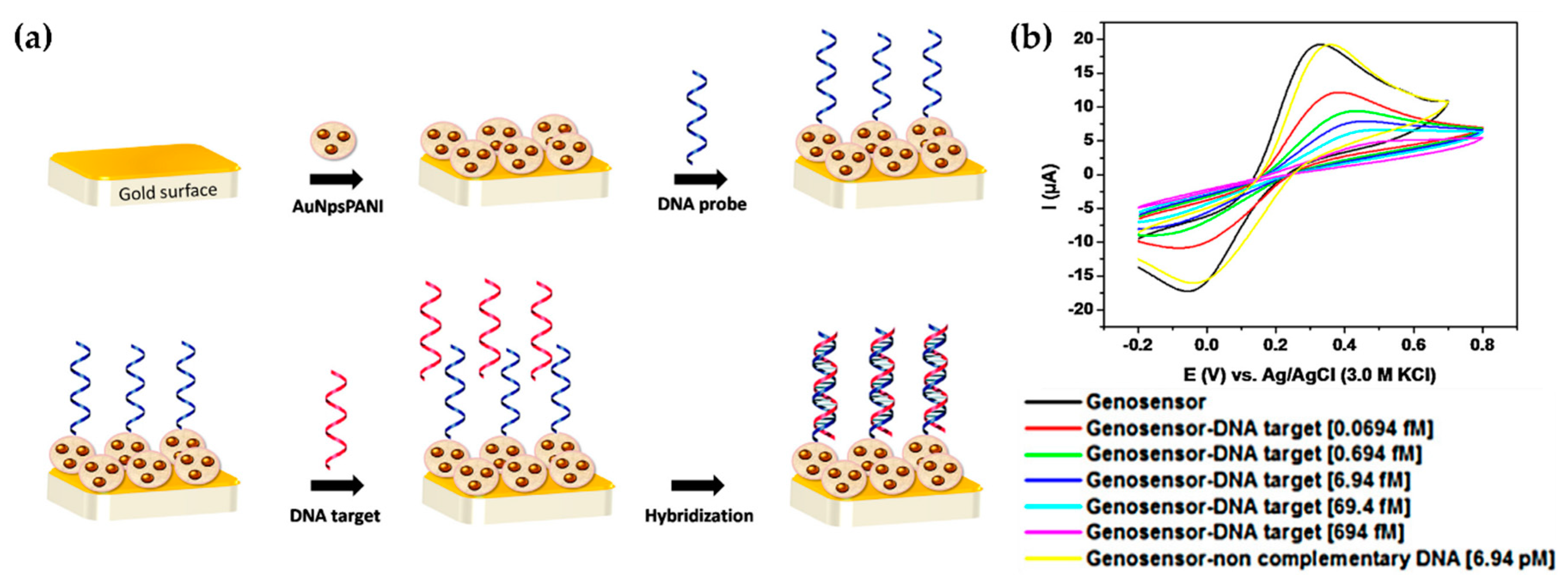 Molecules 25 02446 g007
