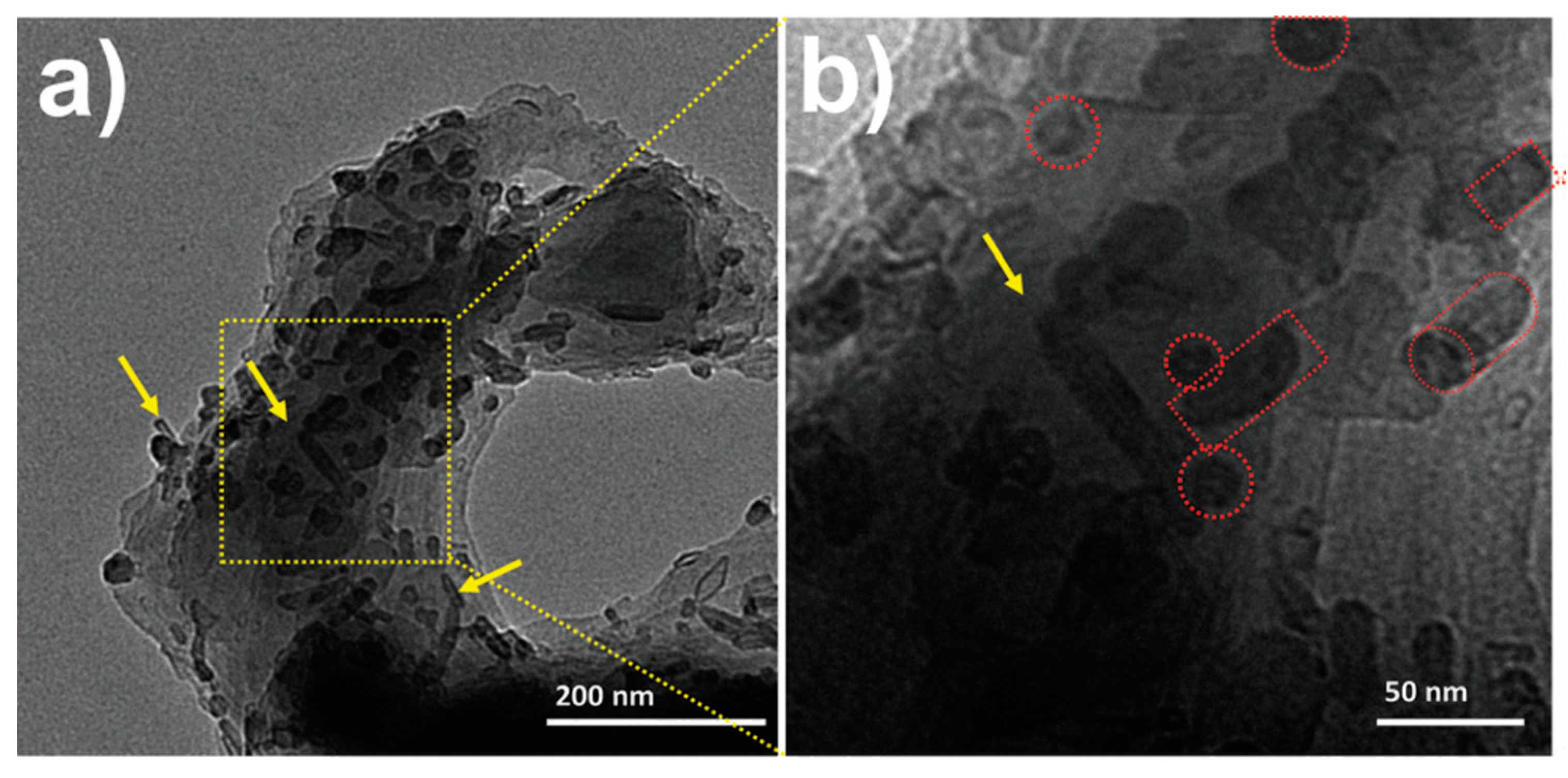 Molecules 25 02446 g008