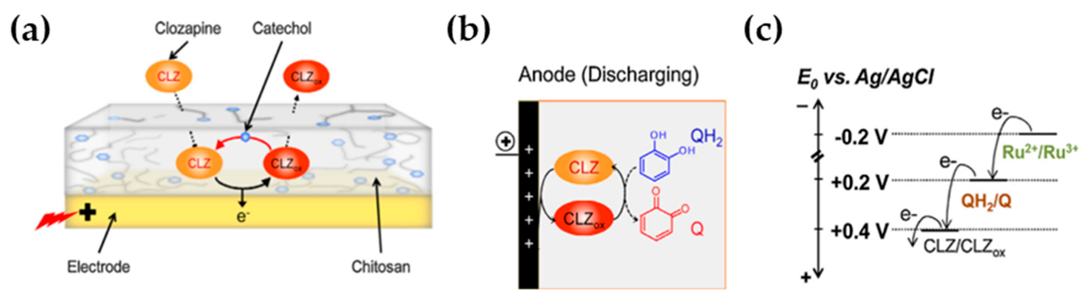 Molecules 25 02446 g013