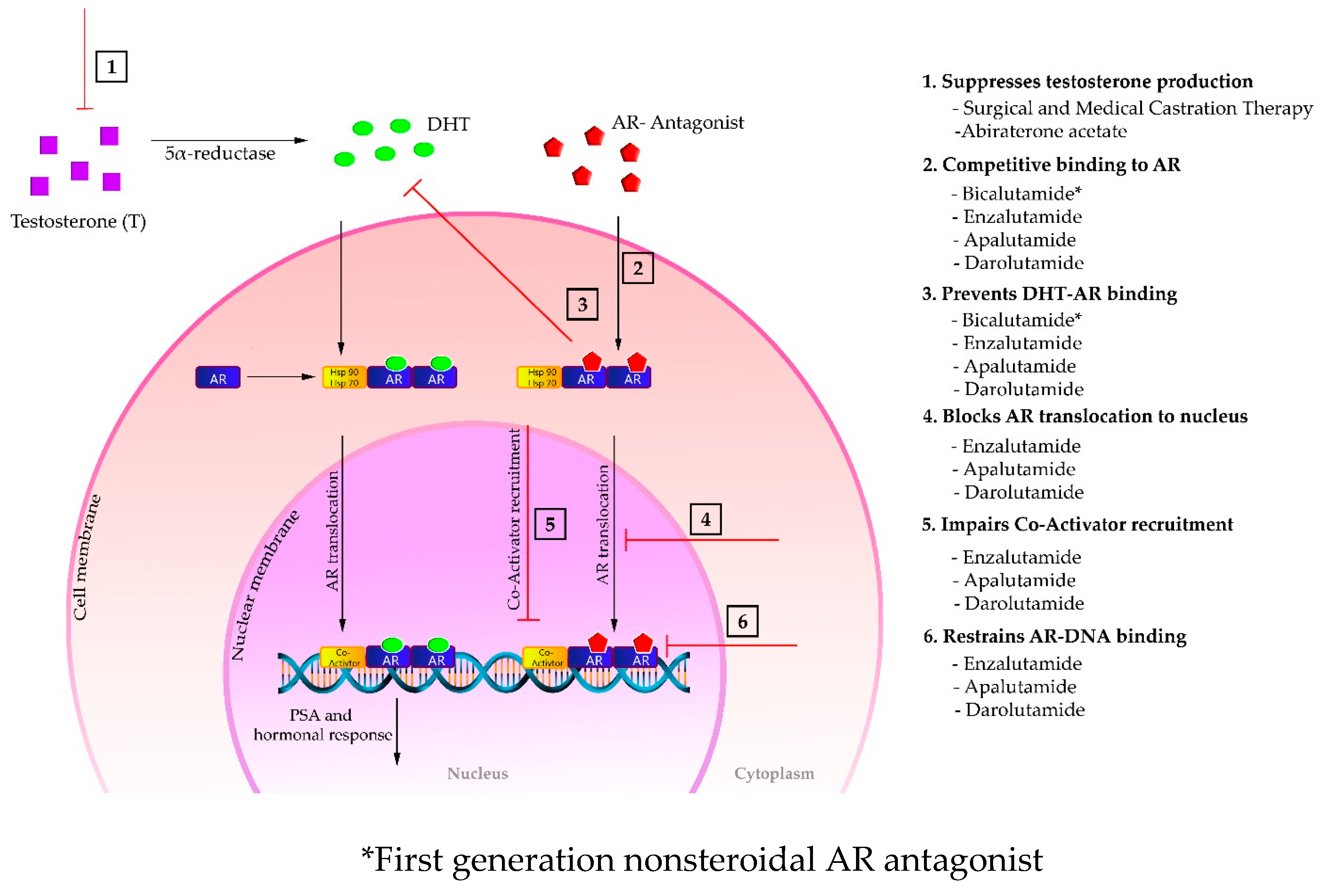 Molecules 25 02448 g005