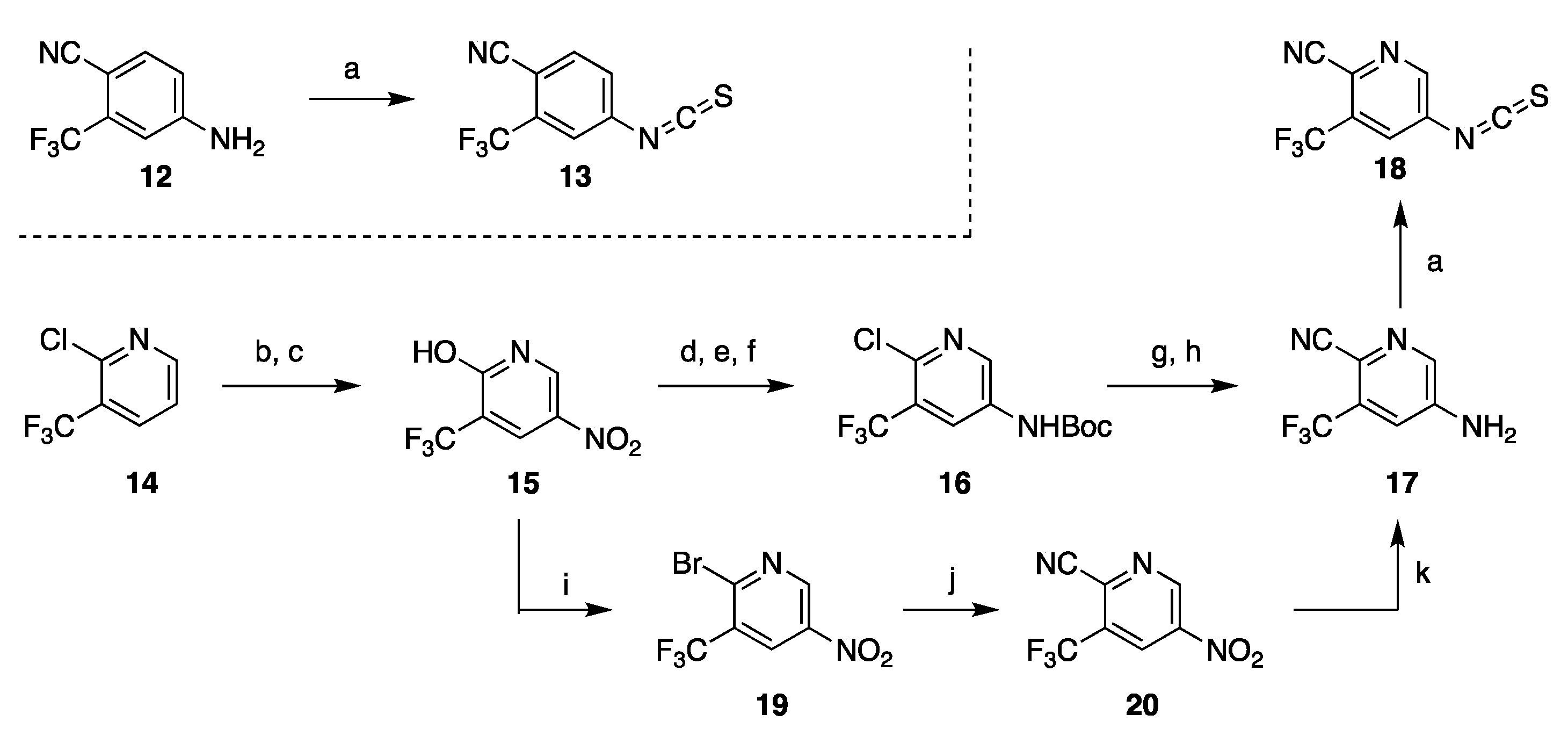 Molecules 25 02448 sch002