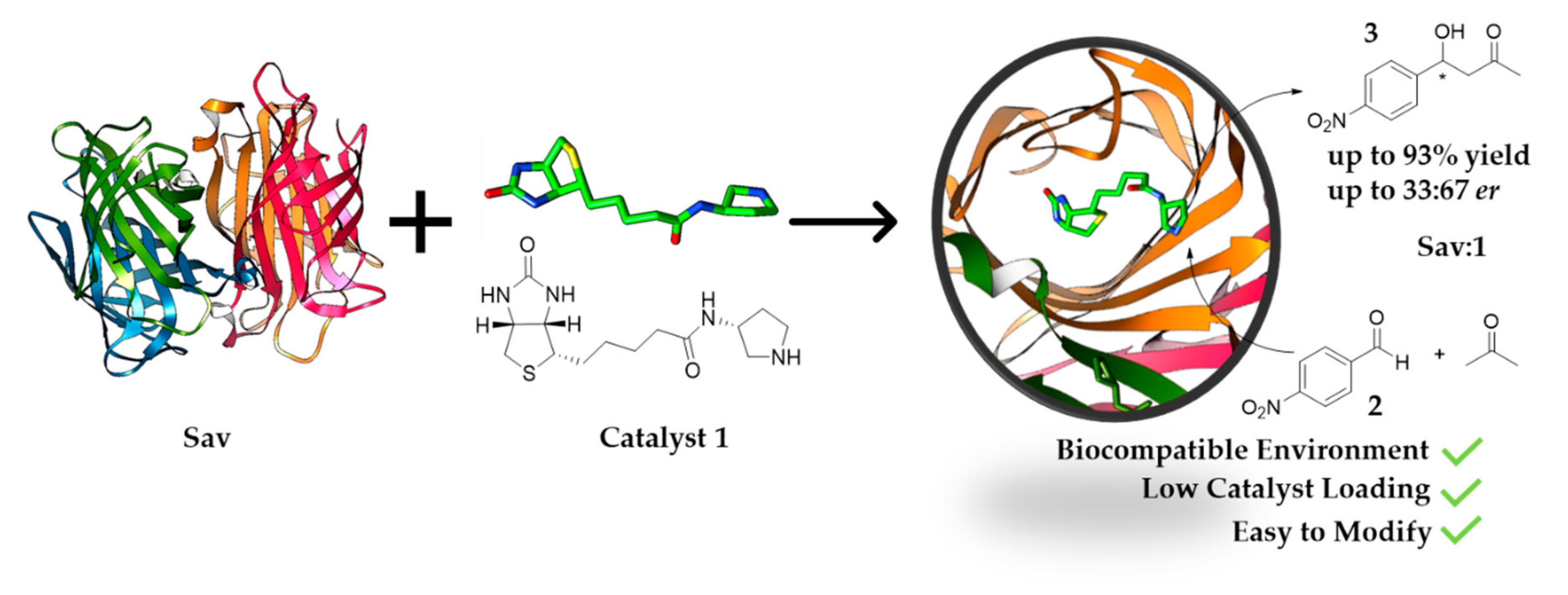 Molecules 25 02457 g001 Molecules 25 02457 g001