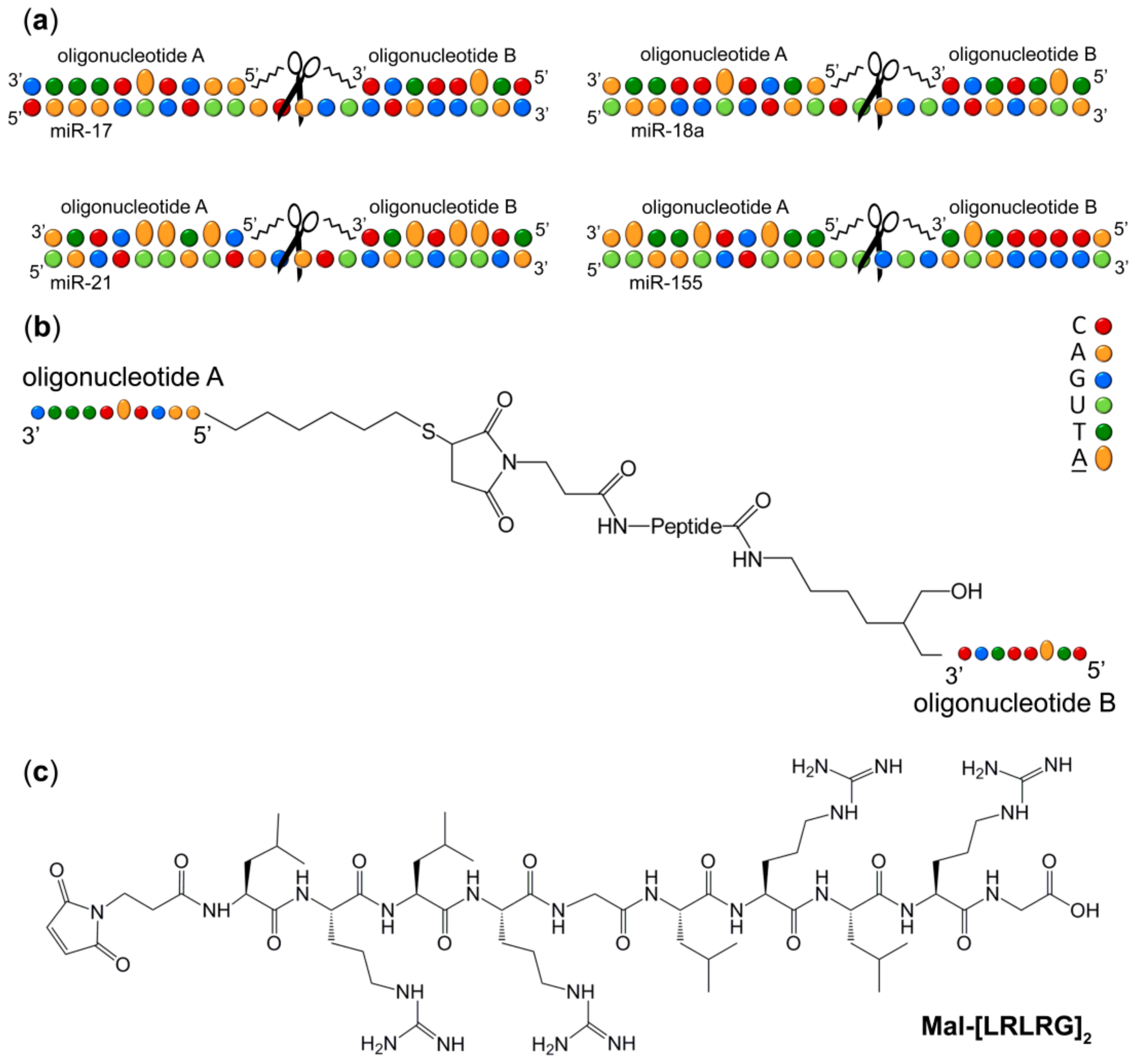 Molecules 25 02459 g001
