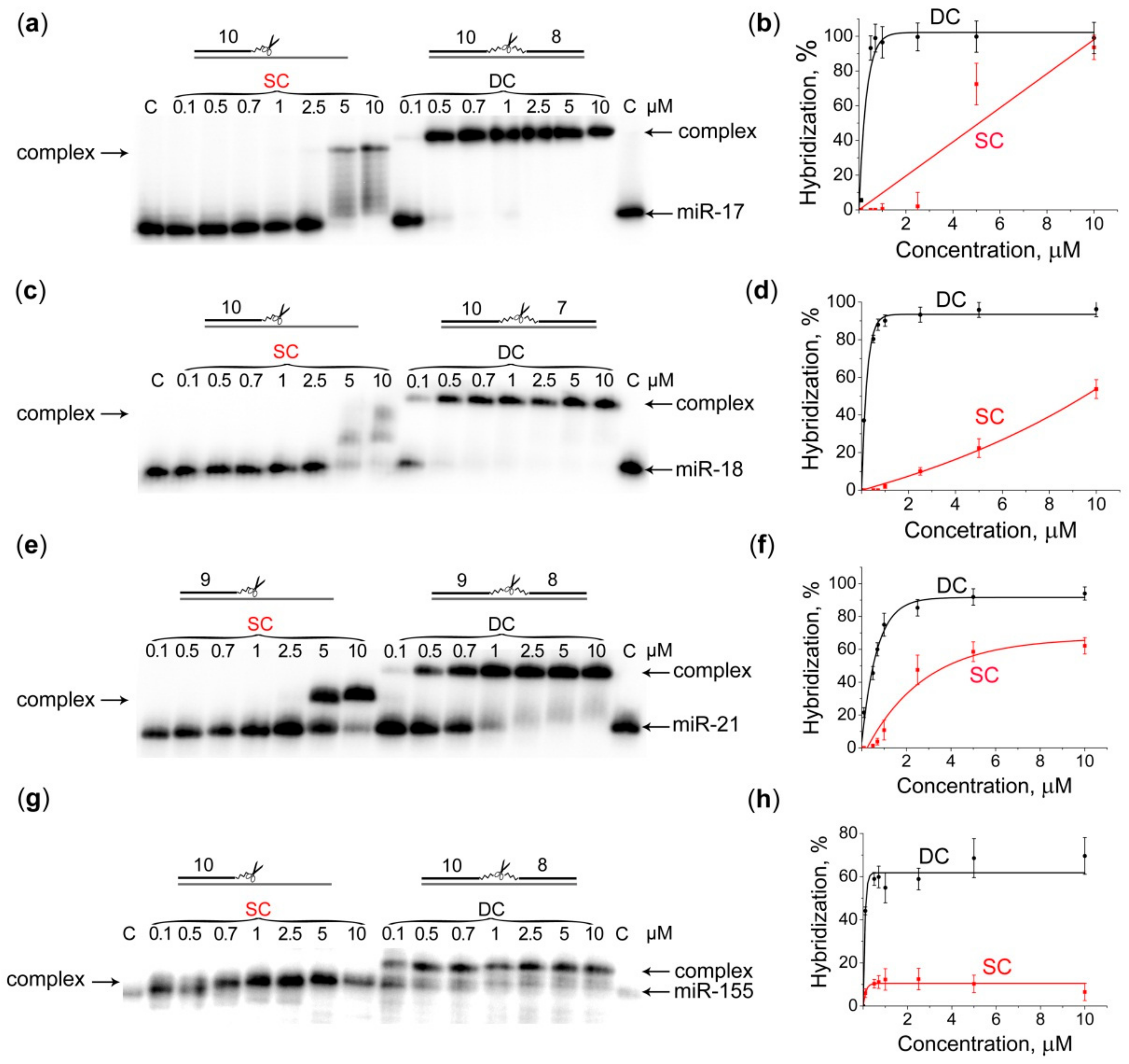 Molecules 25 02459 g002