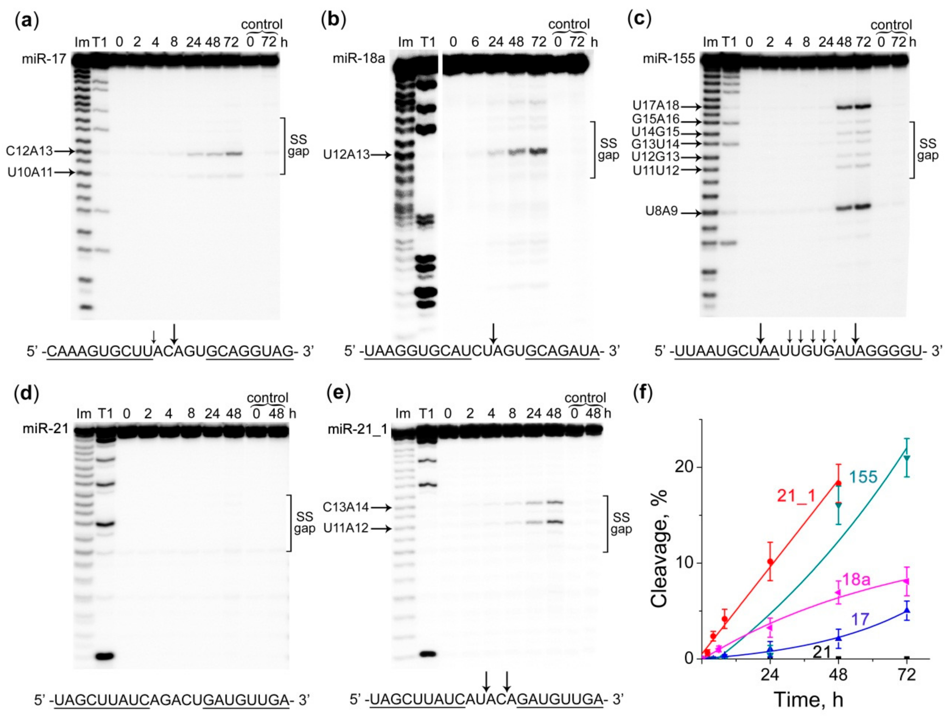 Molecules 25 02459 g003