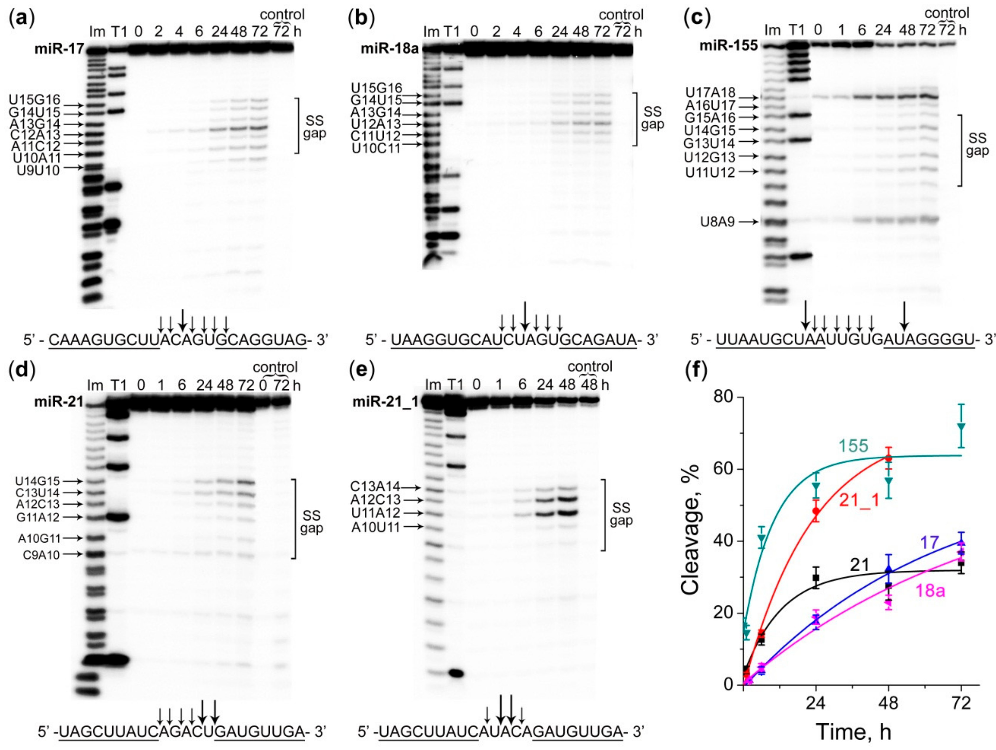 Molecules 25 02459 g004