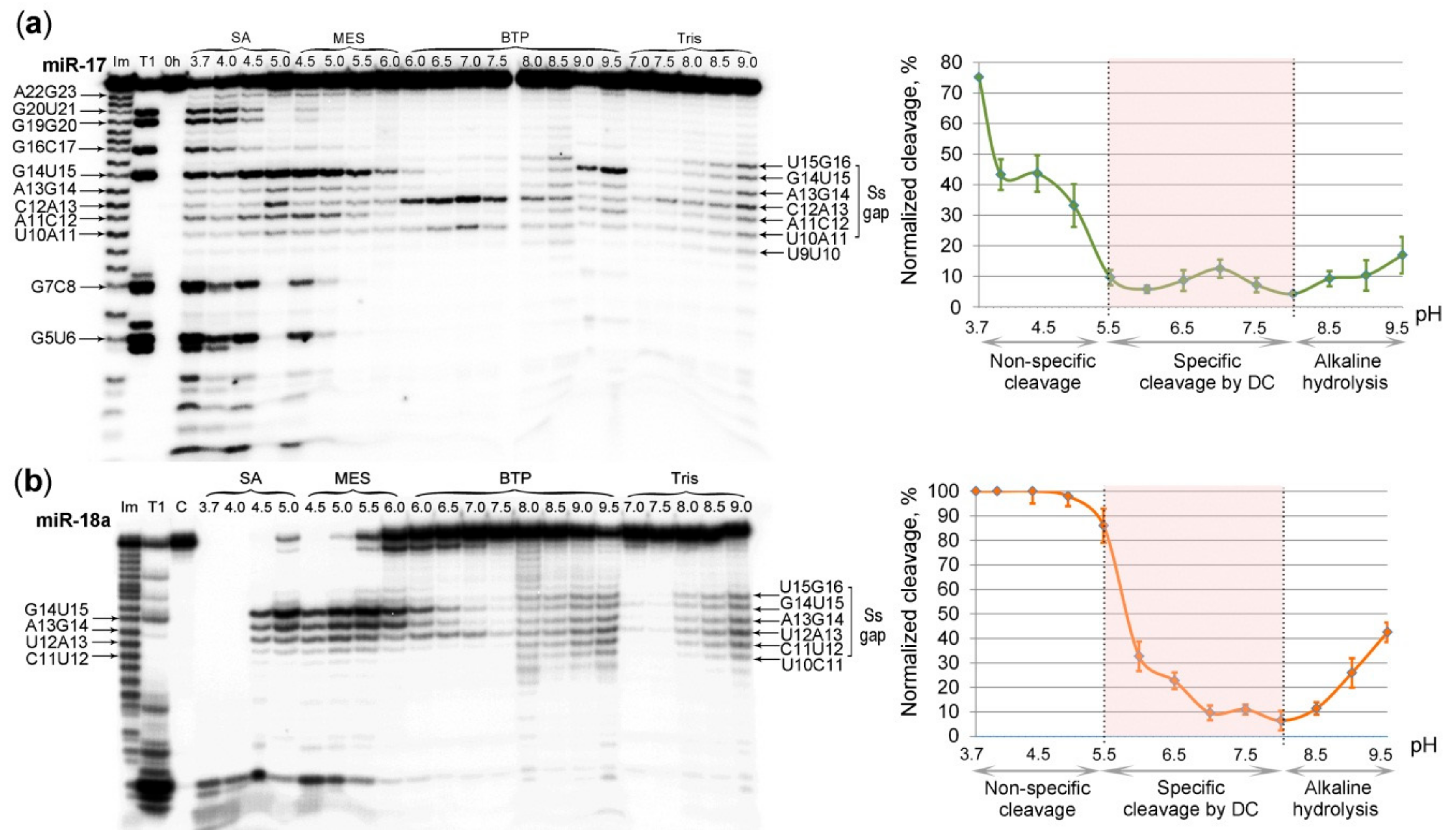 Molecules 25 02459 g005