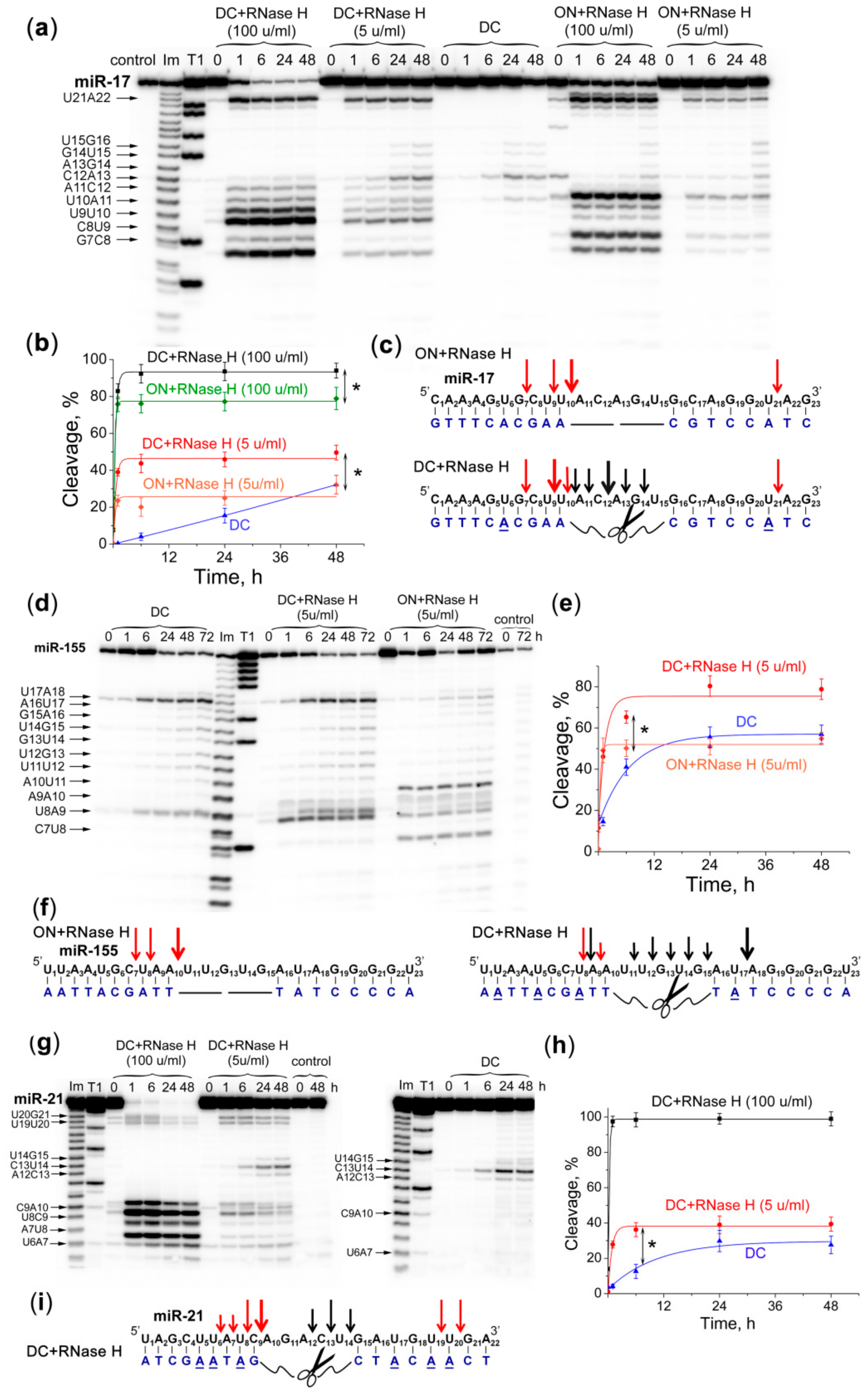 Molecules 25 02459 g006