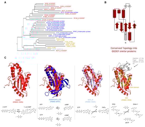 Molecules 25 02462 g001